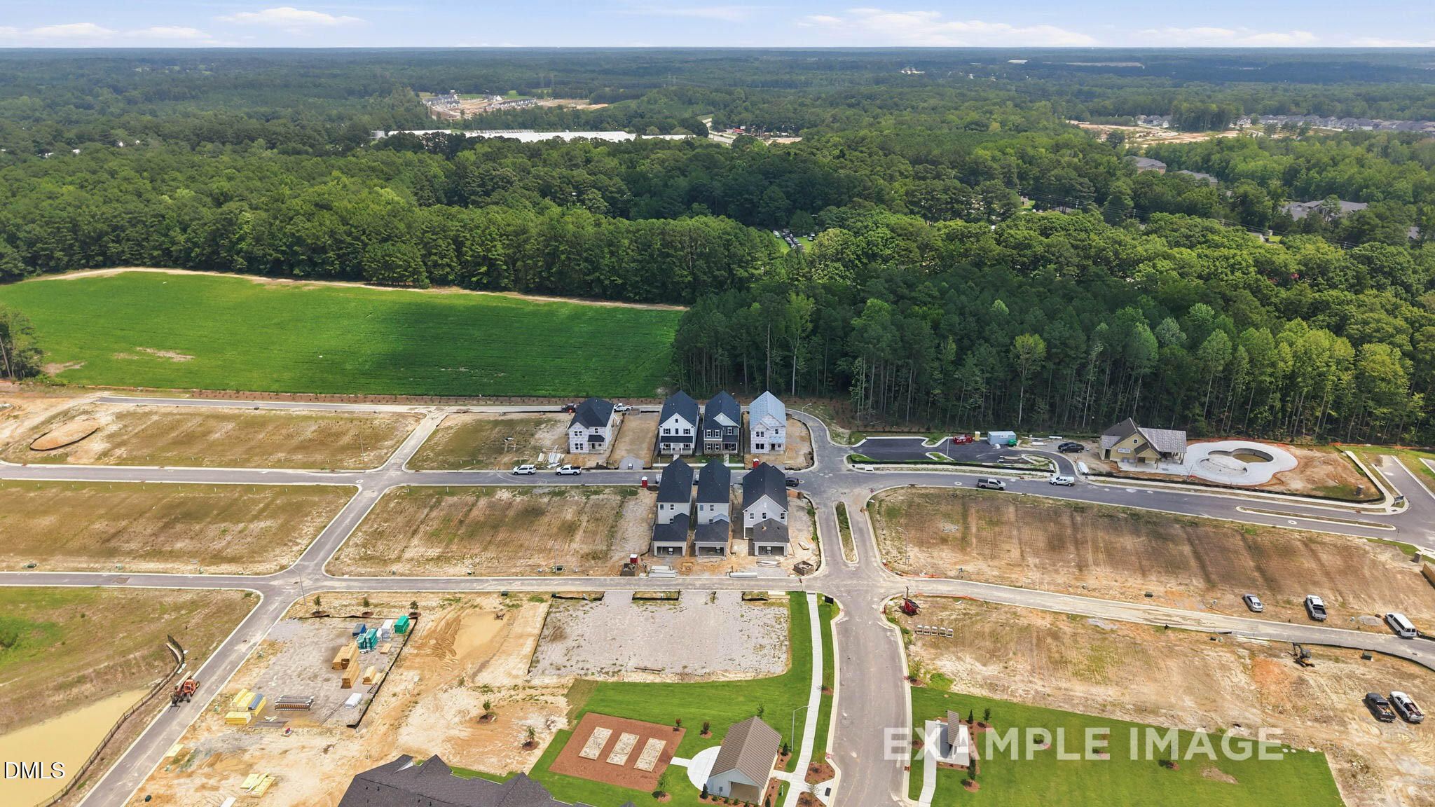 Image 4 of Davidson Homes' New Home at 820 Carpet Grass Avenue