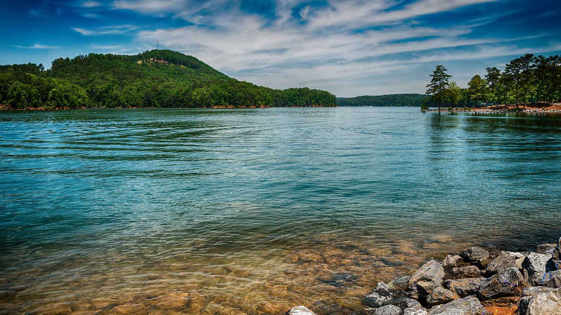 Guide to Cartersville, GA: Location, Population & More