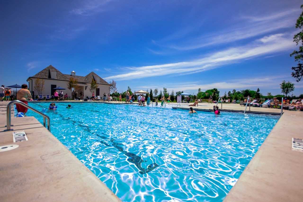 Vibrant community pool with swimmers, lounge chairs, and clubhouse at Shelton Square, Murfreesboro, Tennessee