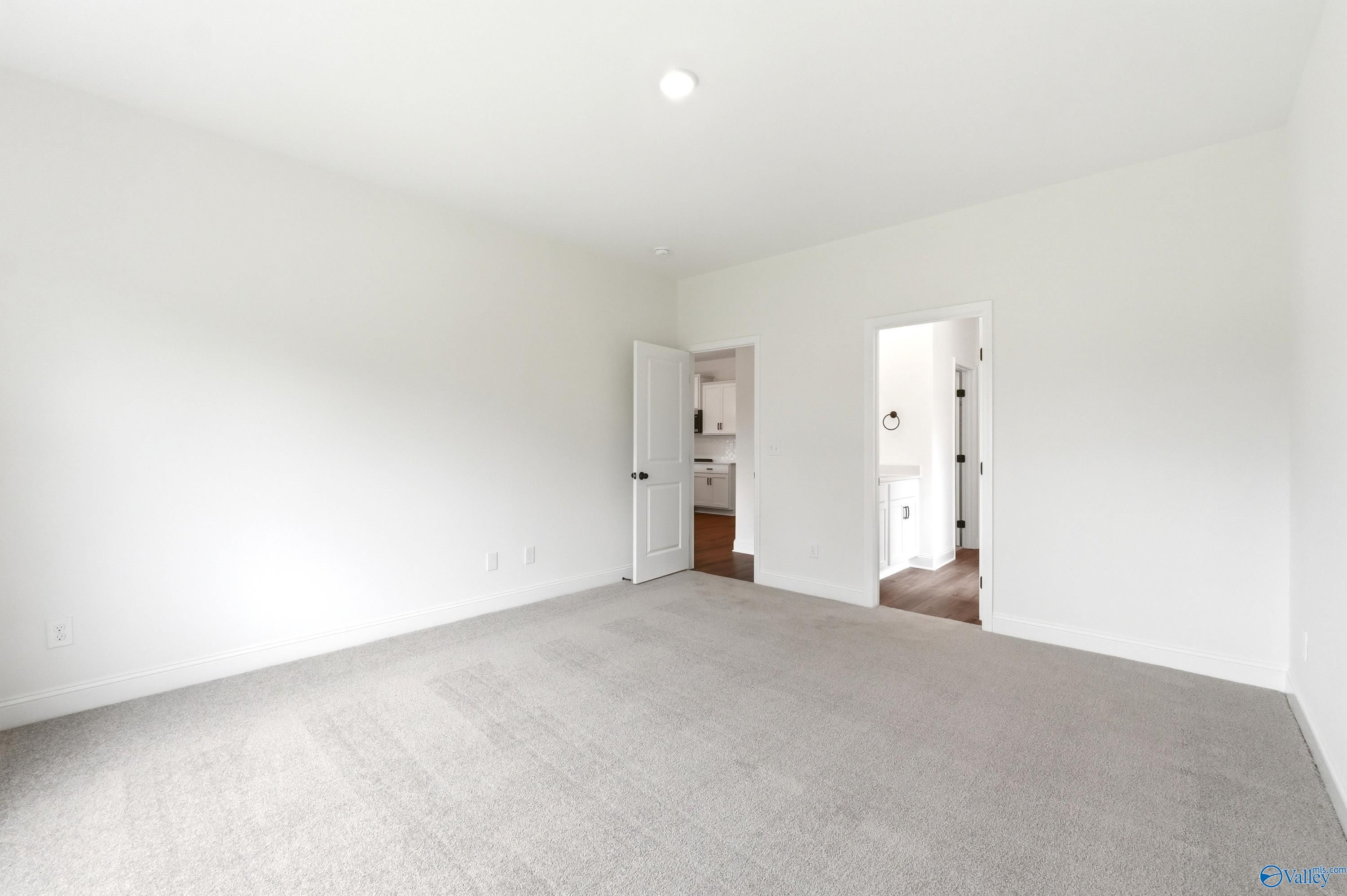 Bright, carpeted bedroom with dual doorways in The Daphne C floor plan by Davidson Homes in Ivy Hills, Toney, Alabama.