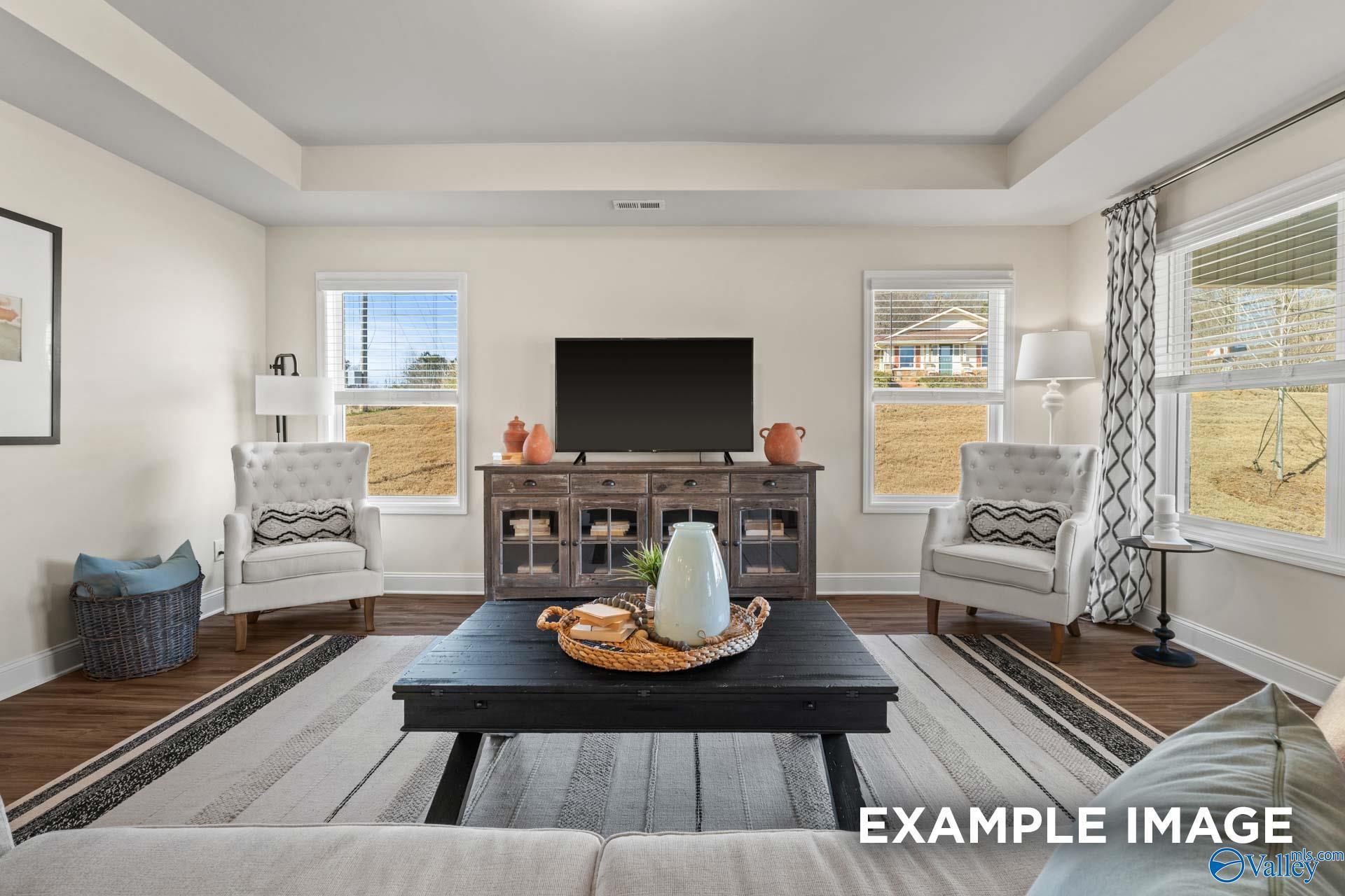 Cozy living room with tray ceiling, large windows overlooking fields, TV on wooden console, armchairs in The Franklin C by Davidson Homes, New Market, AL