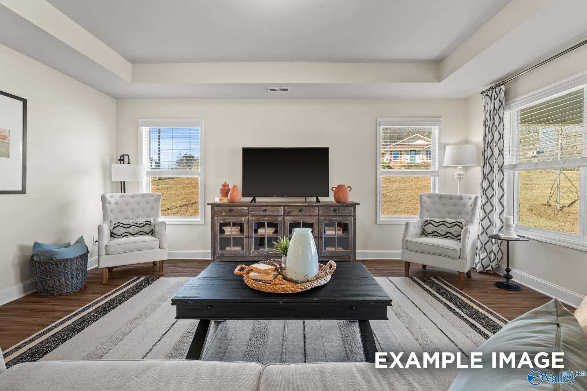 Cozy living room with tray ceiling, large windows overlooking fields, TV on wooden console, armchairs in The Franklin C by Davidson Homes, New Market, AL