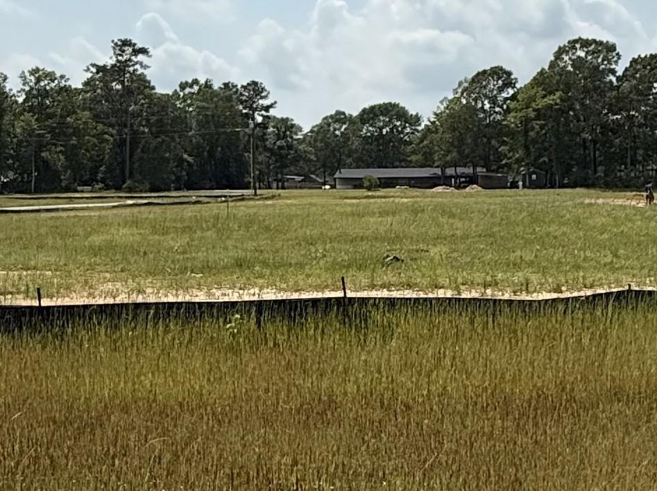 Expansive grassy lot with pine tree backdrop and distant structures in Liberty Estates, site for Davidson Homes The Frio G 3-bedroom in Cleveland, Texas