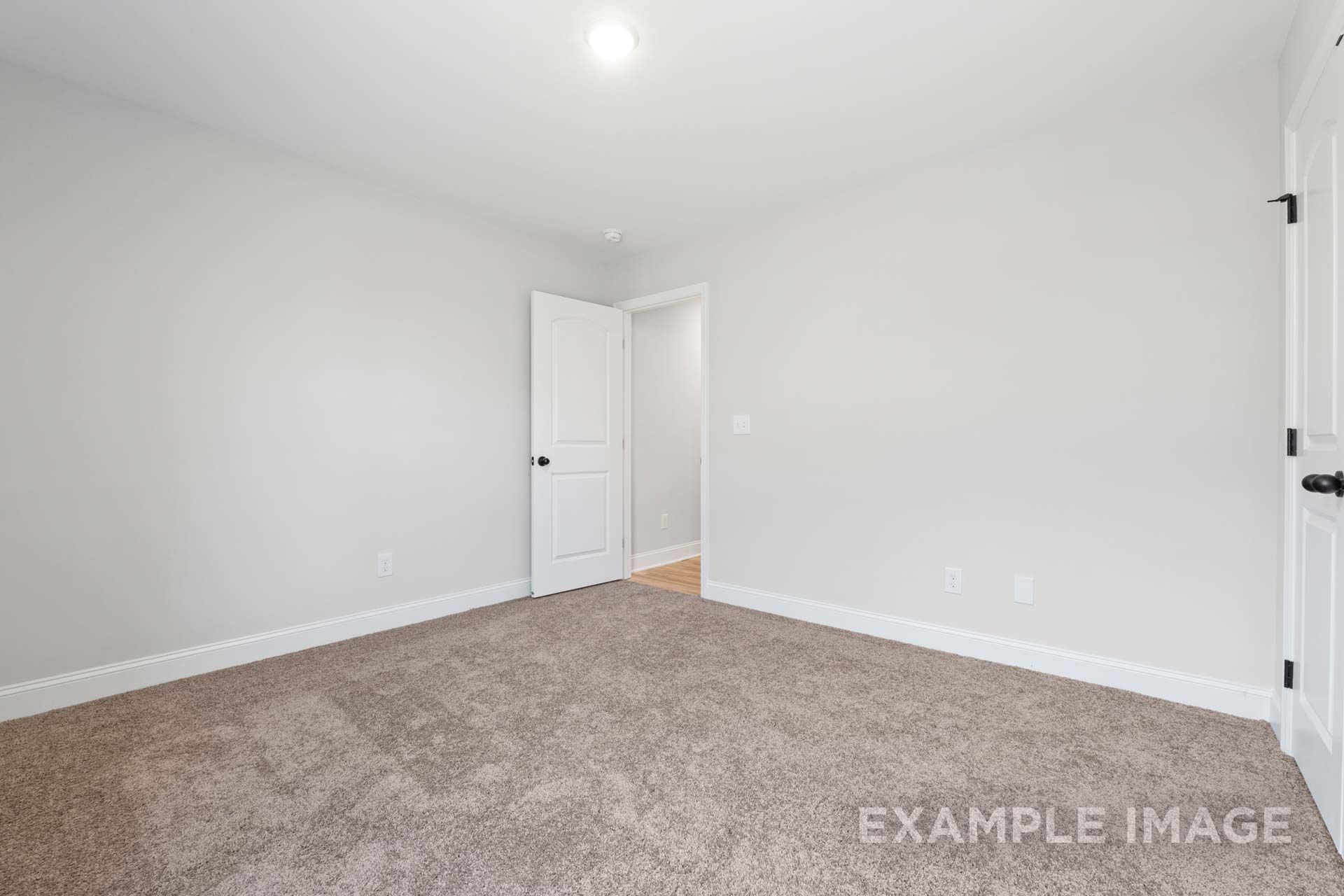 Spacious secondary bedroom in The Holly M with neutral gray walls, beige carpet, and doors to closet and bath