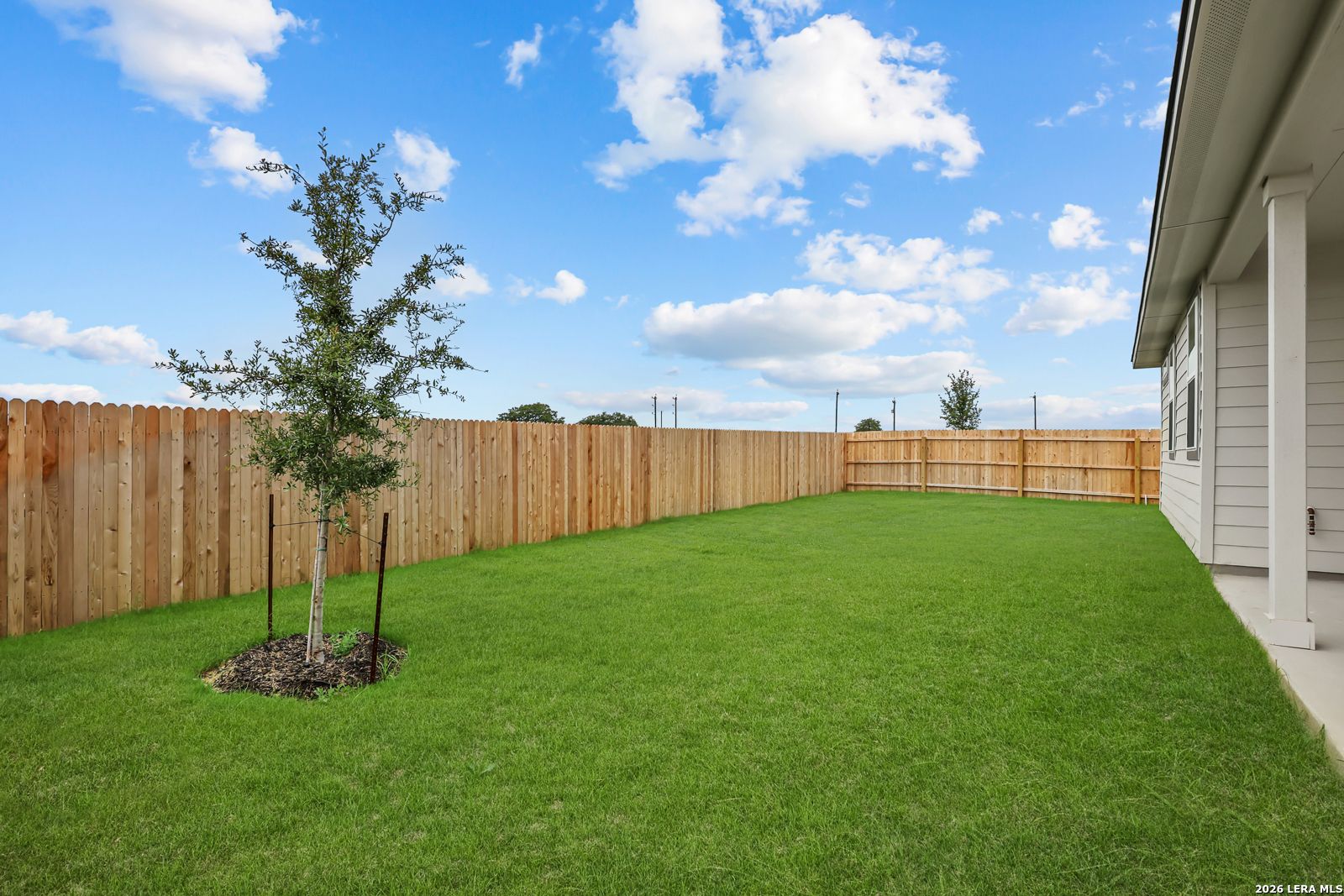 Private fenced backyard with lush green lawn, young tree, and covered patio in Davidson Homes The Glenwood E, Elmendorf, Texas