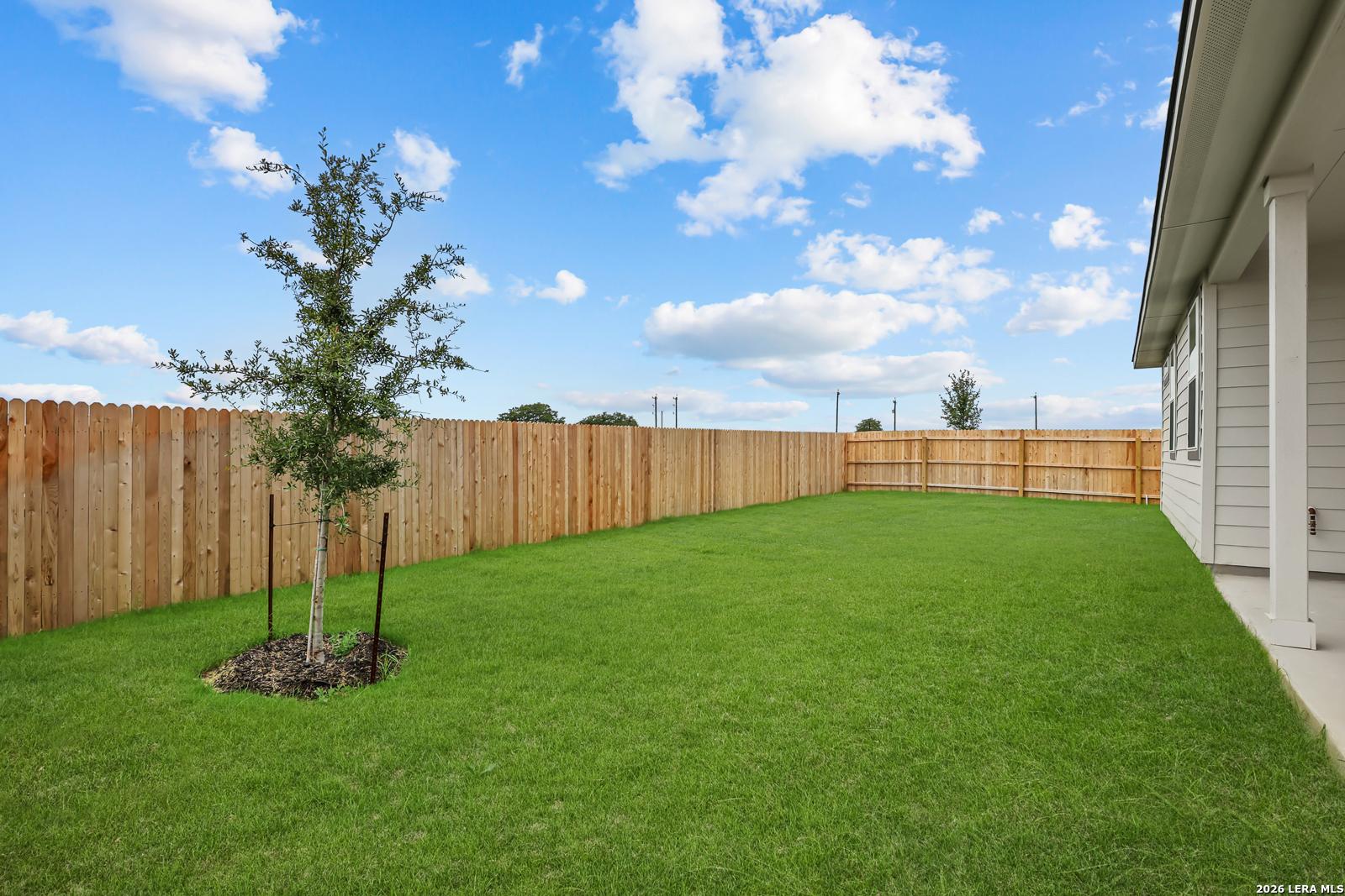 Private fenced backyard with lush green lawn, young tree, and covered patio in Davidson Homes The Glenwood E, Elmendorf, Texas