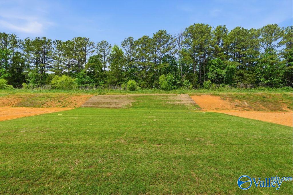 Private backyard view with grassy lawn and treeline at The Rockford floor plan in Cain Park, Hartselle, Alabama.