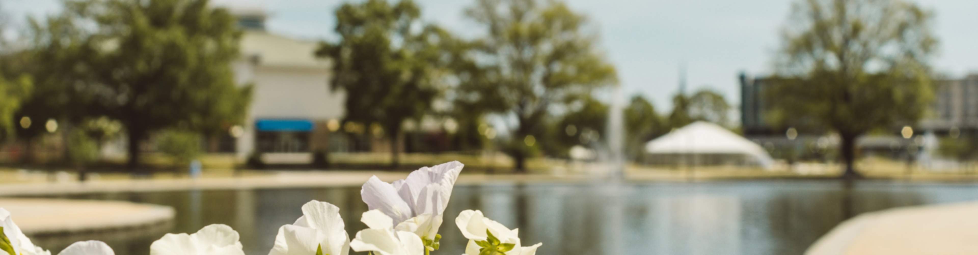 Huntsville Park