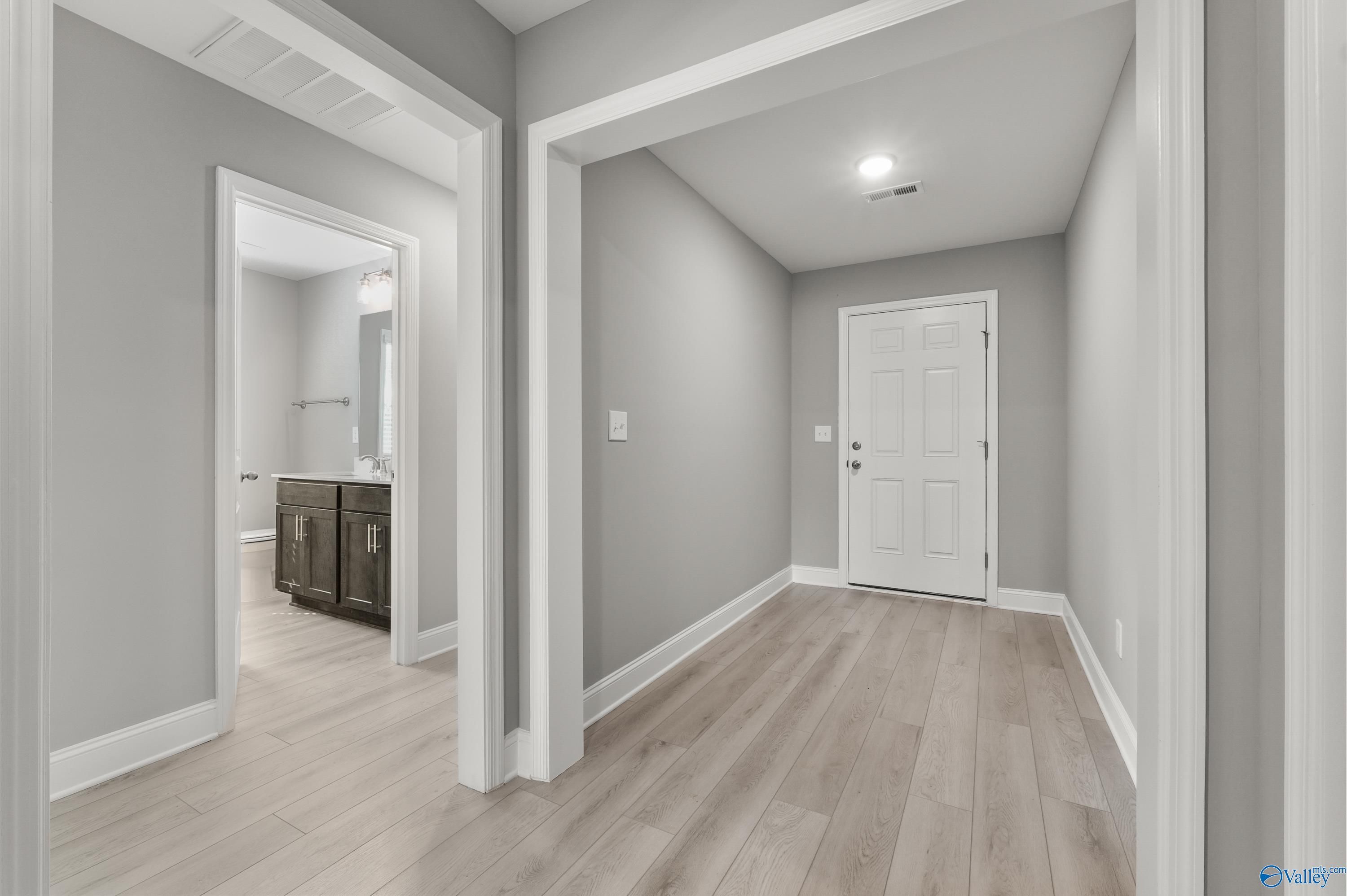 Modern hallway with gray walls, light wood floors, bathroom vanity, and white door in Davidson Homes The Everett B, Athens, AL