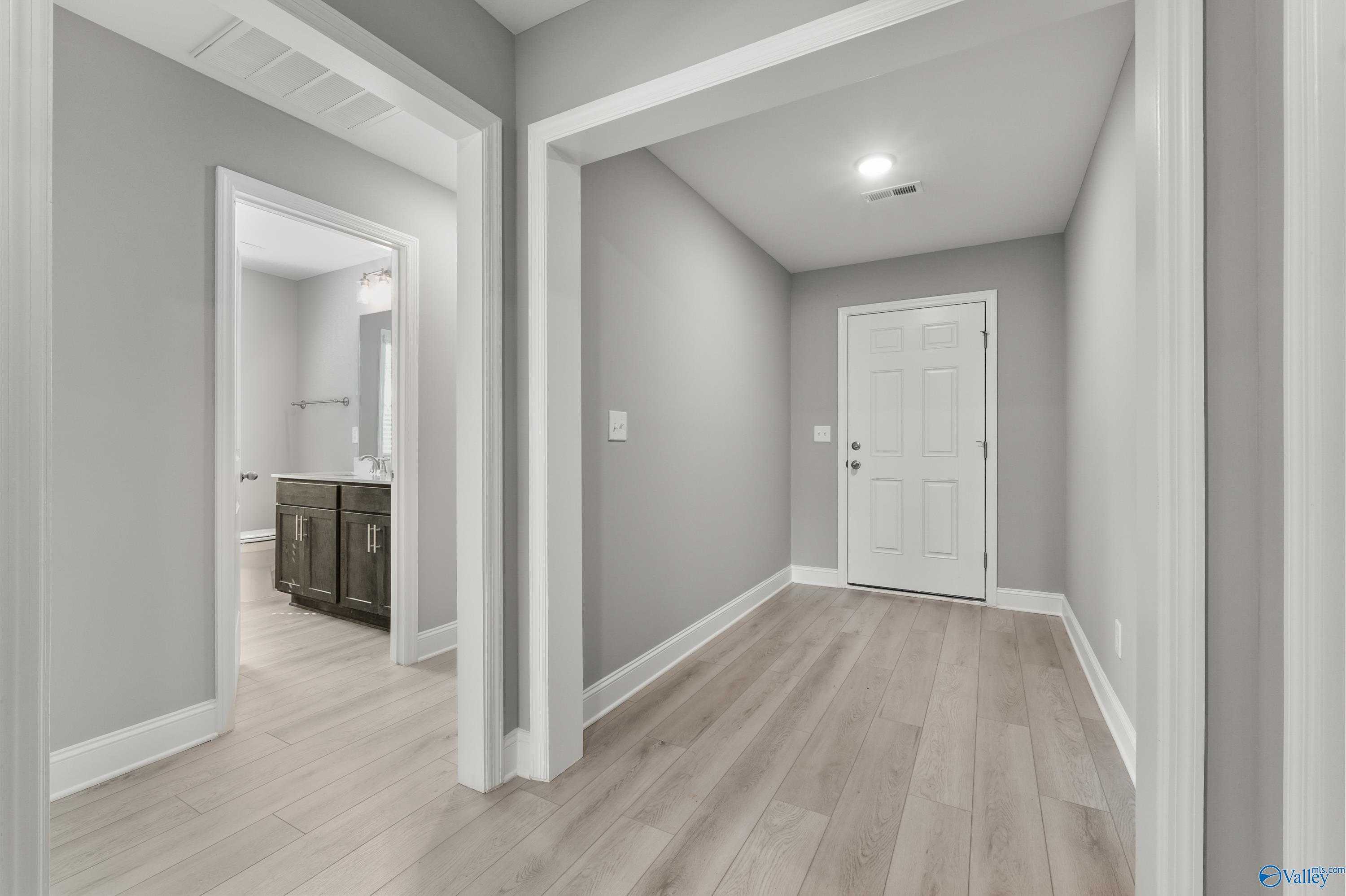 Modern hallway with gray walls, light wood floors, bathroom vanity, and white door in Davidson Homes The Everett B, Athens, AL