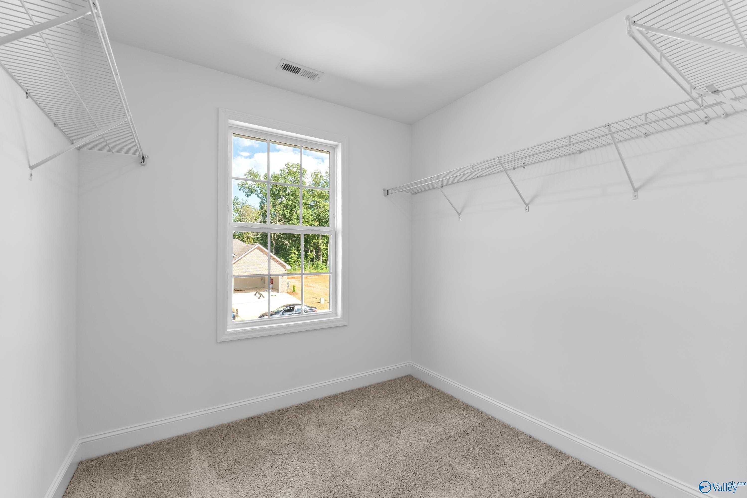 Spacious walk-in closet with wire shelving, carpeted floor, and window view of greenery in Davidson Homes The Shelby A, New Market, Alabama