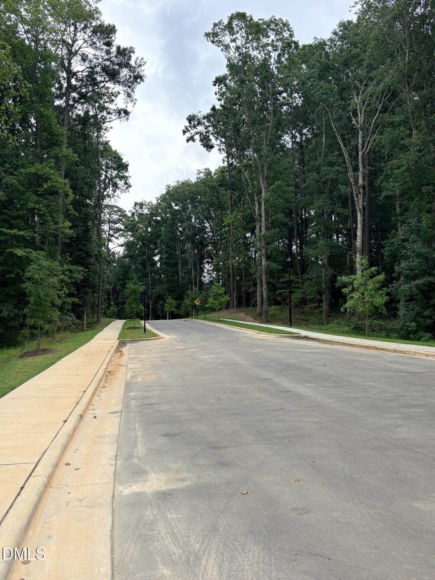 Quiet residential street lined with tall trees in the Woodland Crossing community, Zebulon, North Carolina.