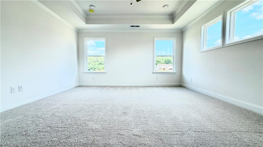 Spacious bedroom with tray ceiling and carpet flooring in The Hickory C floor plan at Wehunt Meadows, Hoschton, Georgia.