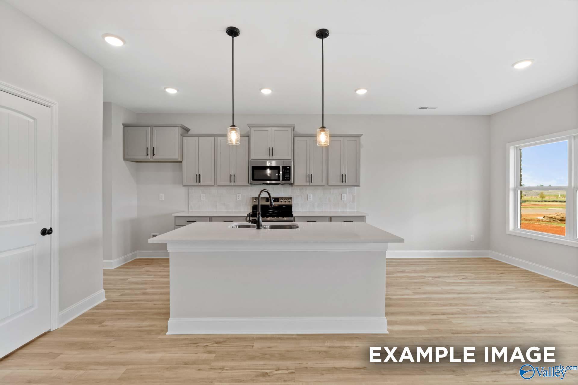 Image 12 of Davidson Homes' New Home at 335 Creek Grove Avenue