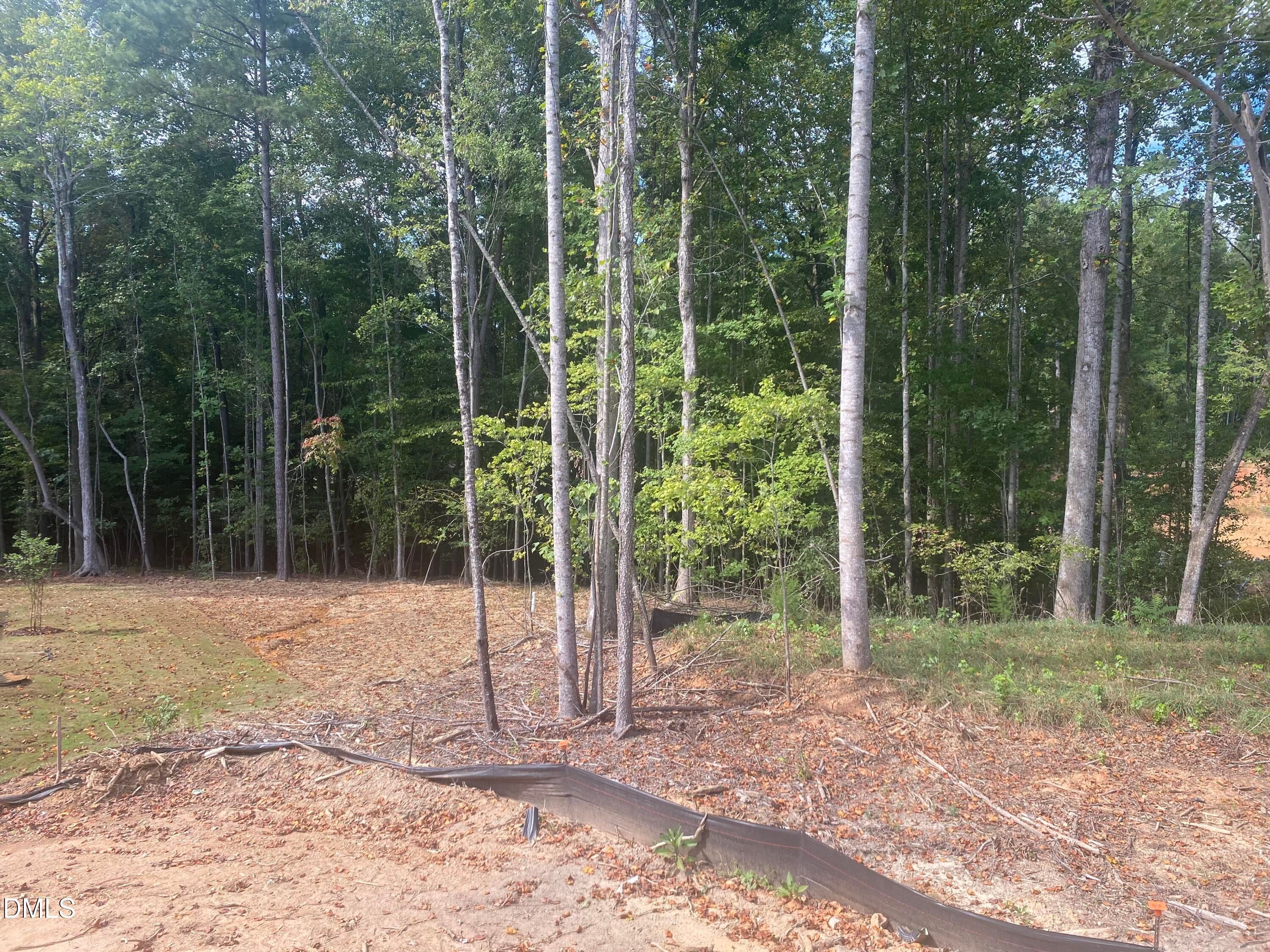 Lush wooded lot with tall trees, dirt path, and winding stream in Laneridge Estates, Raleigh, North Carolina for Davidson Homes Crawford B