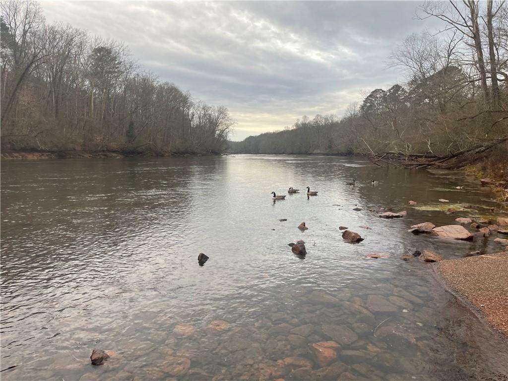 Serene river with swimming ducks, rocky shoreline, and bare trees under cloudy sky in Melody Lakeside Estates, Buford, Georgia