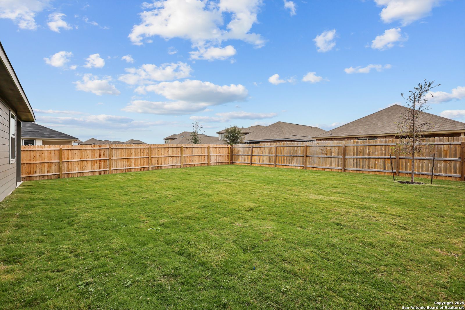 Private fenced backyard with lush green lawn, young trees, and blue skies in Davidson Homes The Daphne J, Horizon Pointe, Converse, Texas