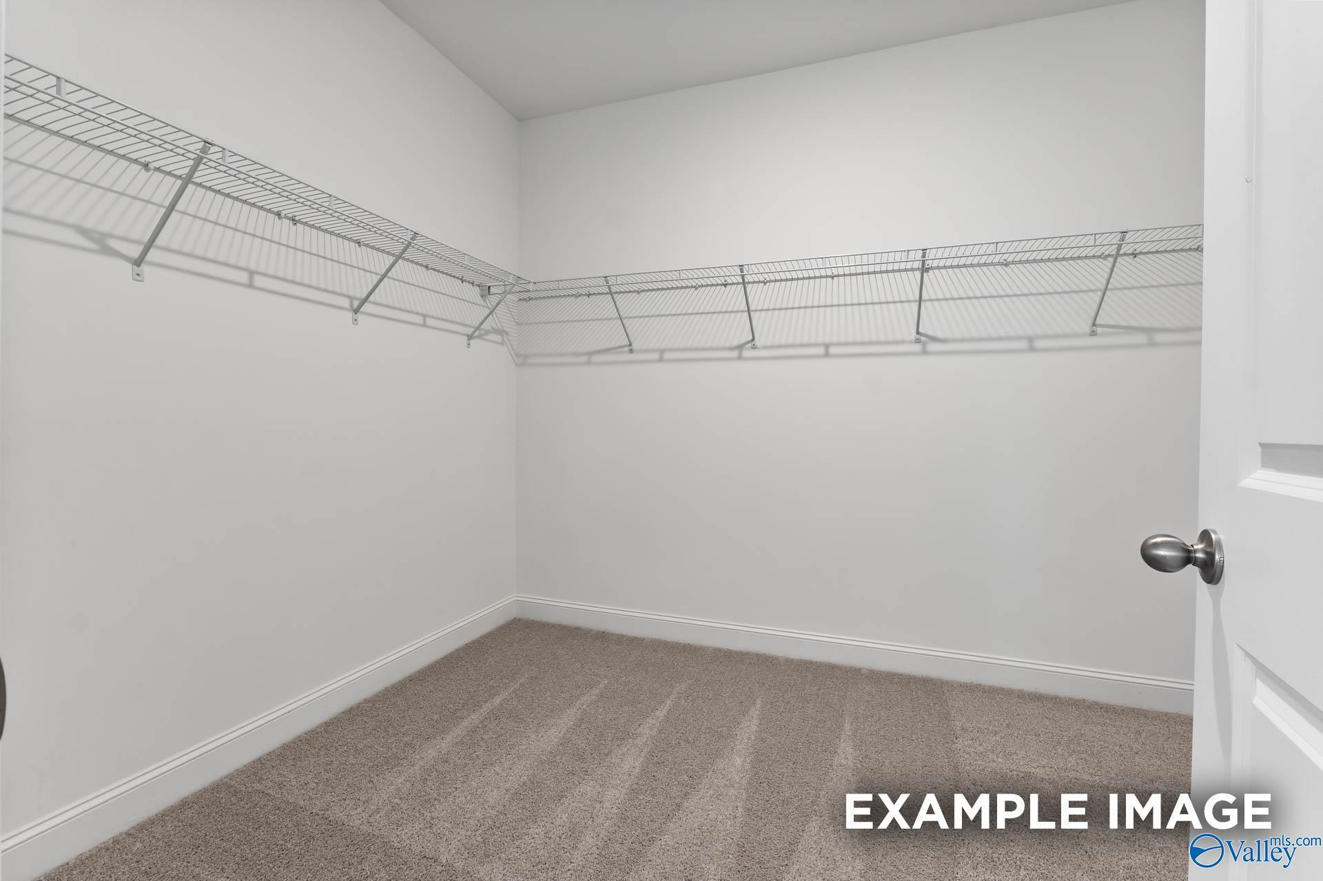 Spacious empty walk-in closet with wire shelving and carpeted floor in Davidson Homes The Rockford with Bonus, Madison Alabama