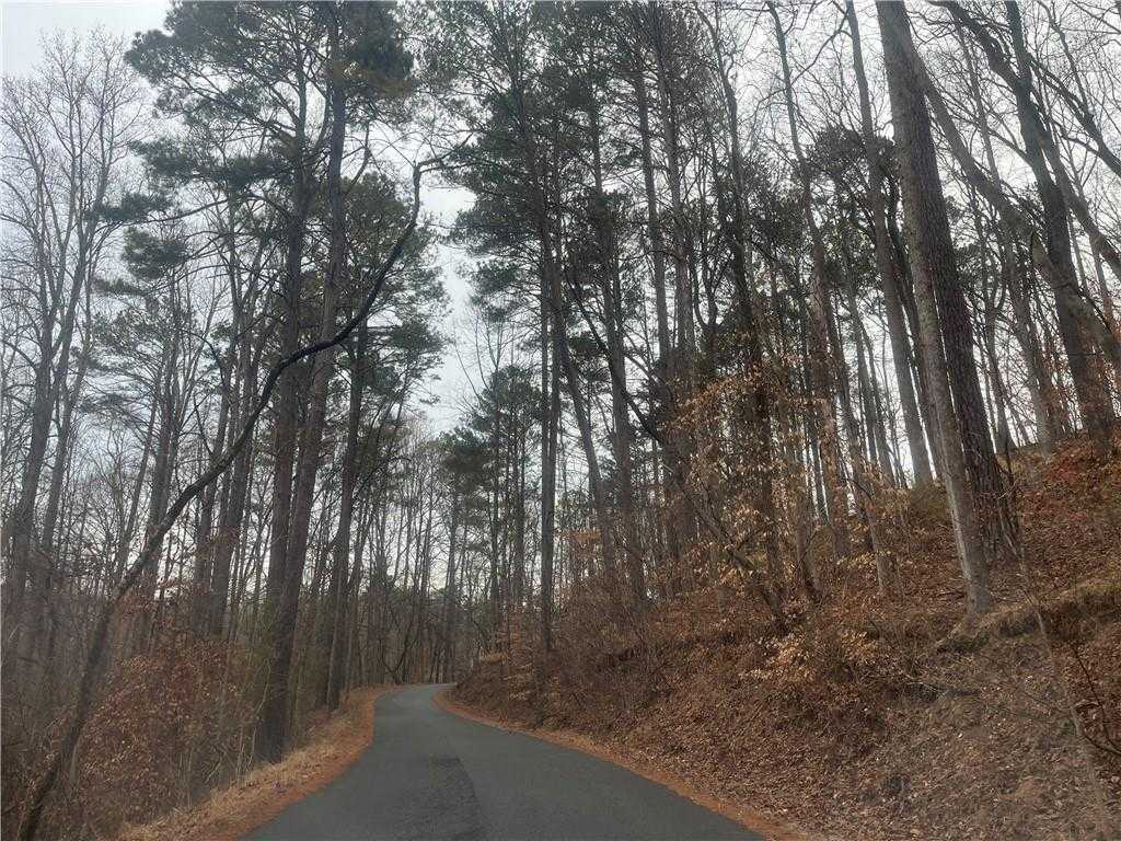 Winding asphalt road through dense pine forest and autumn foliage on hillside in Melody Lakeside Estates, Buford, Georgia