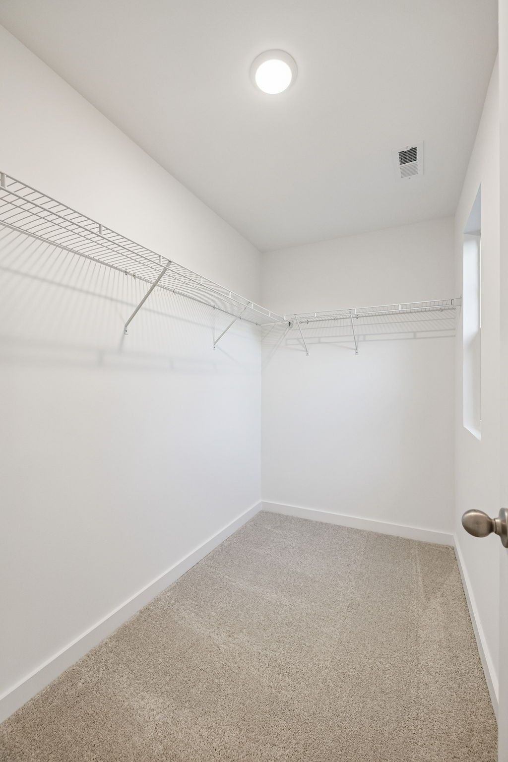 Spacious walk-in closet with wire shelving, beige carpet, and window in Davidson Homes The Willow, Calista Farms, White House, TN