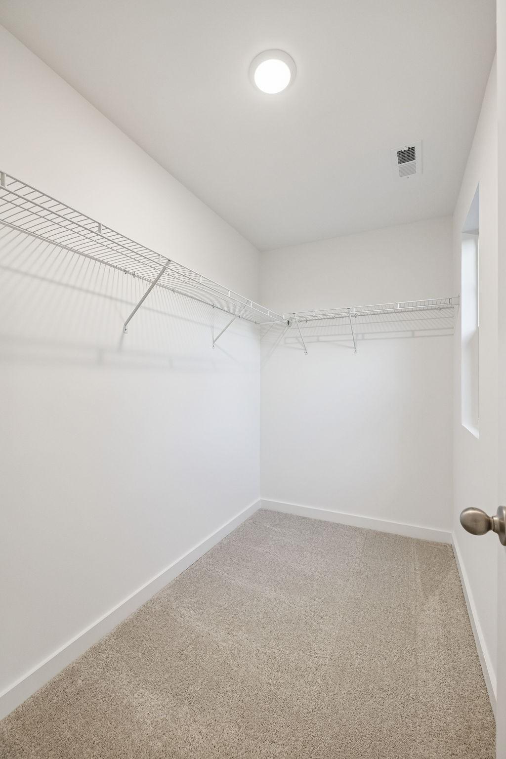 Spacious walk-in closet with wire shelving, beige carpet, and window in Davidson Homes The Willow, Calista Farms, White House, TN