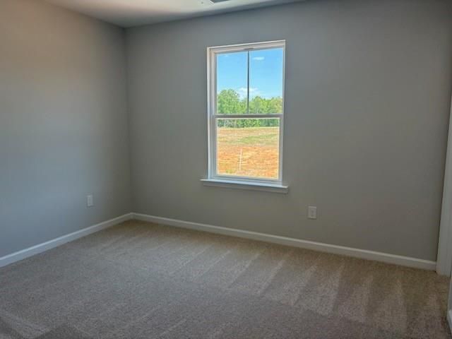 Bright empty bedroom with light gray walls, beige carpet, and large window overlooking trees in Davidson Homes The Rabun A, Winder, Georgia