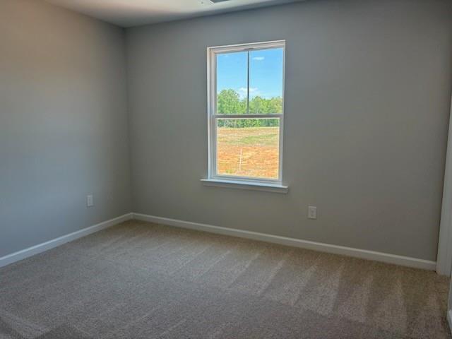 Bright empty bedroom with light gray walls, beige carpet, and large window overlooking trees in Davidson Homes The Rabun A, Winder, Georgia