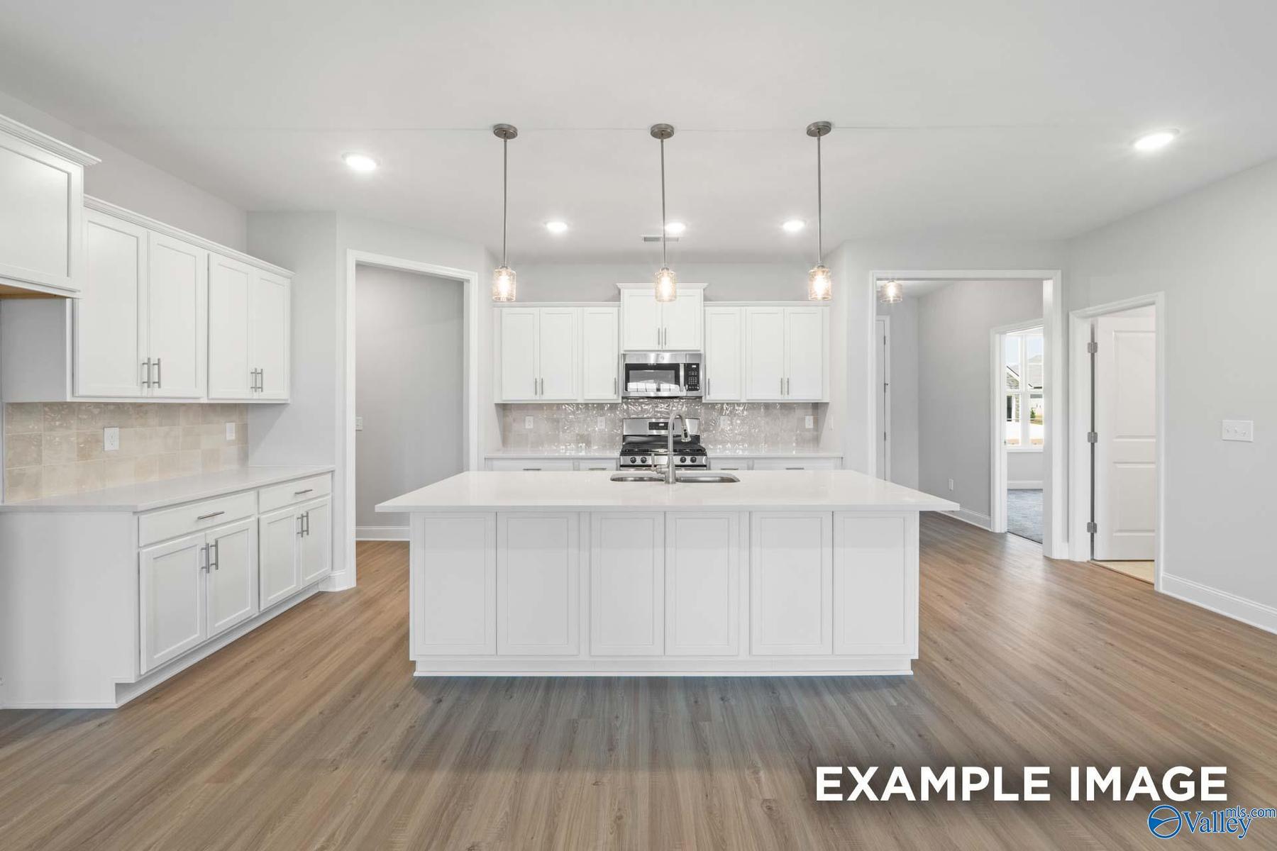 Image 1 of Davidson Homes' New Home at 106 Lucy Lynn Boulevard