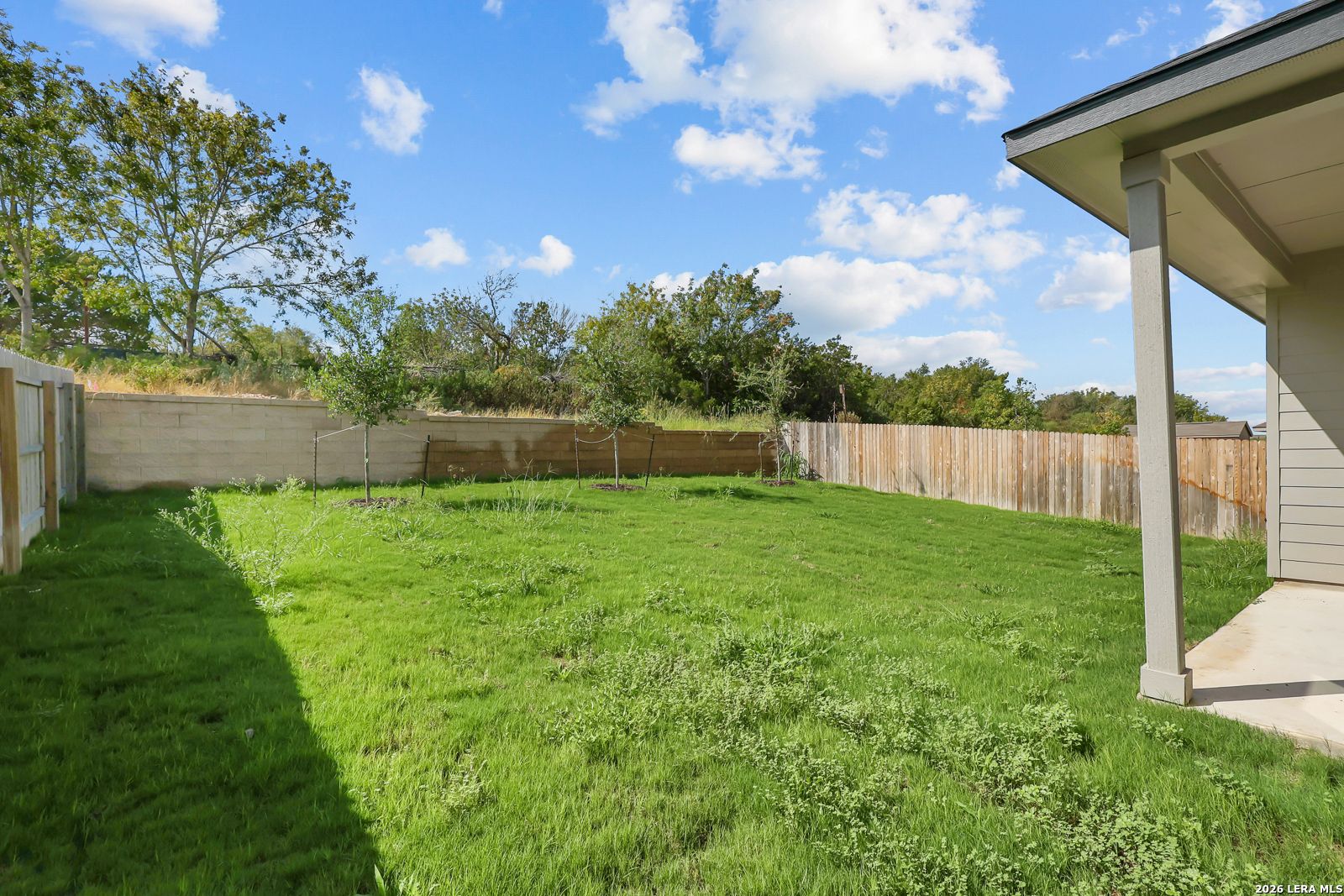 Fenced backyard with green lawn and covered patio at Davidson Homes The Sequoia C in Royal Crest, San Antonio, Texas