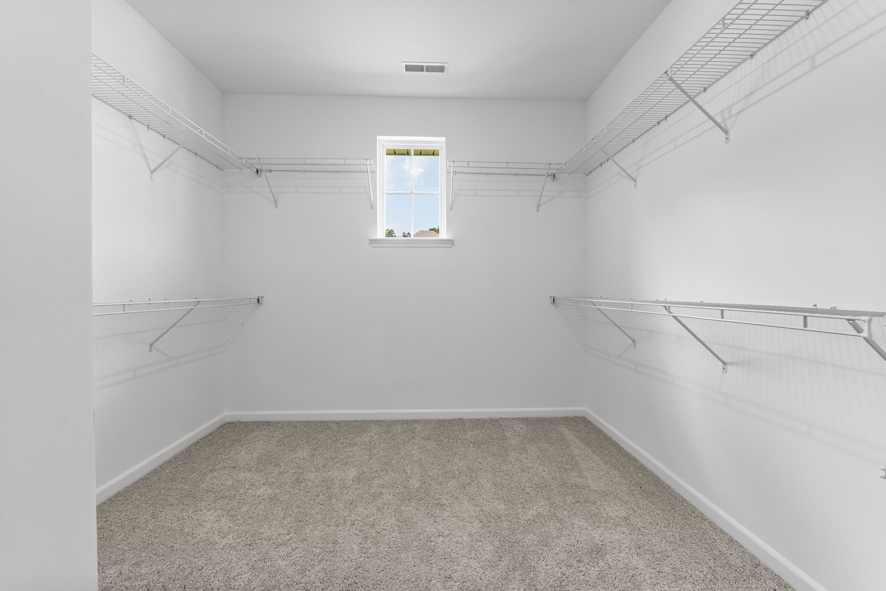 Spacious walk-in closet in The Avalon E master suite featuring wire shelving, carpeted floor, and sunlit window