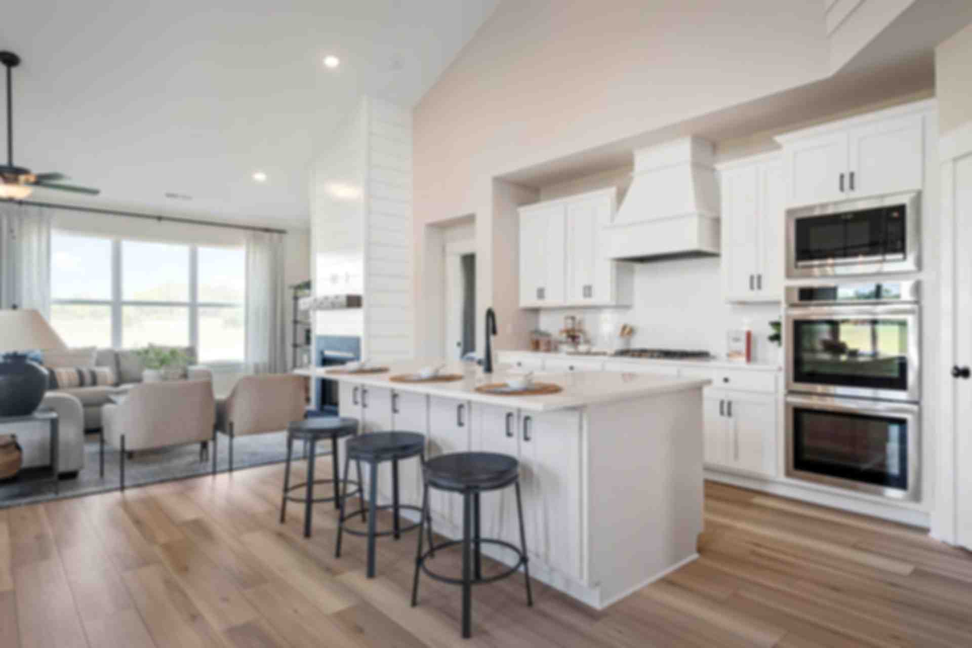 Kitchen of a Model