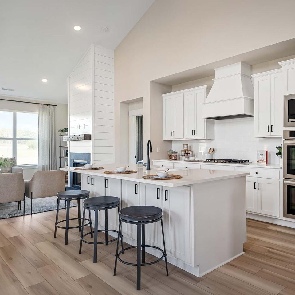 Kitchen of a Model