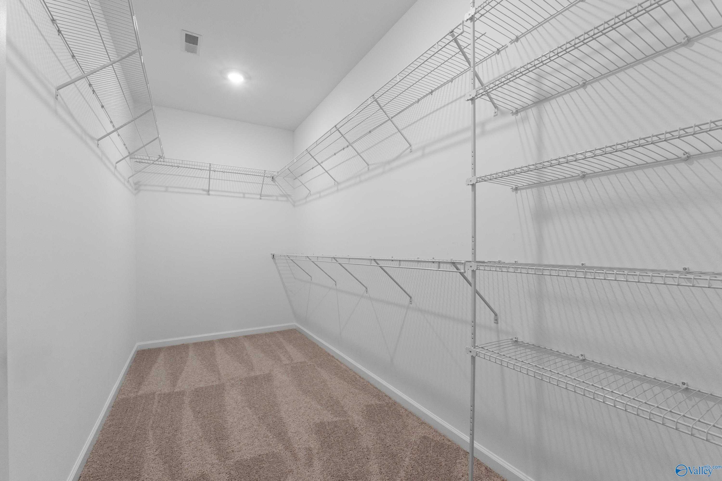 Spacious walk-in closet with wire shelving, hanging rods and carpeted floor in Davidson Homes The Dorado, Huntsville AL