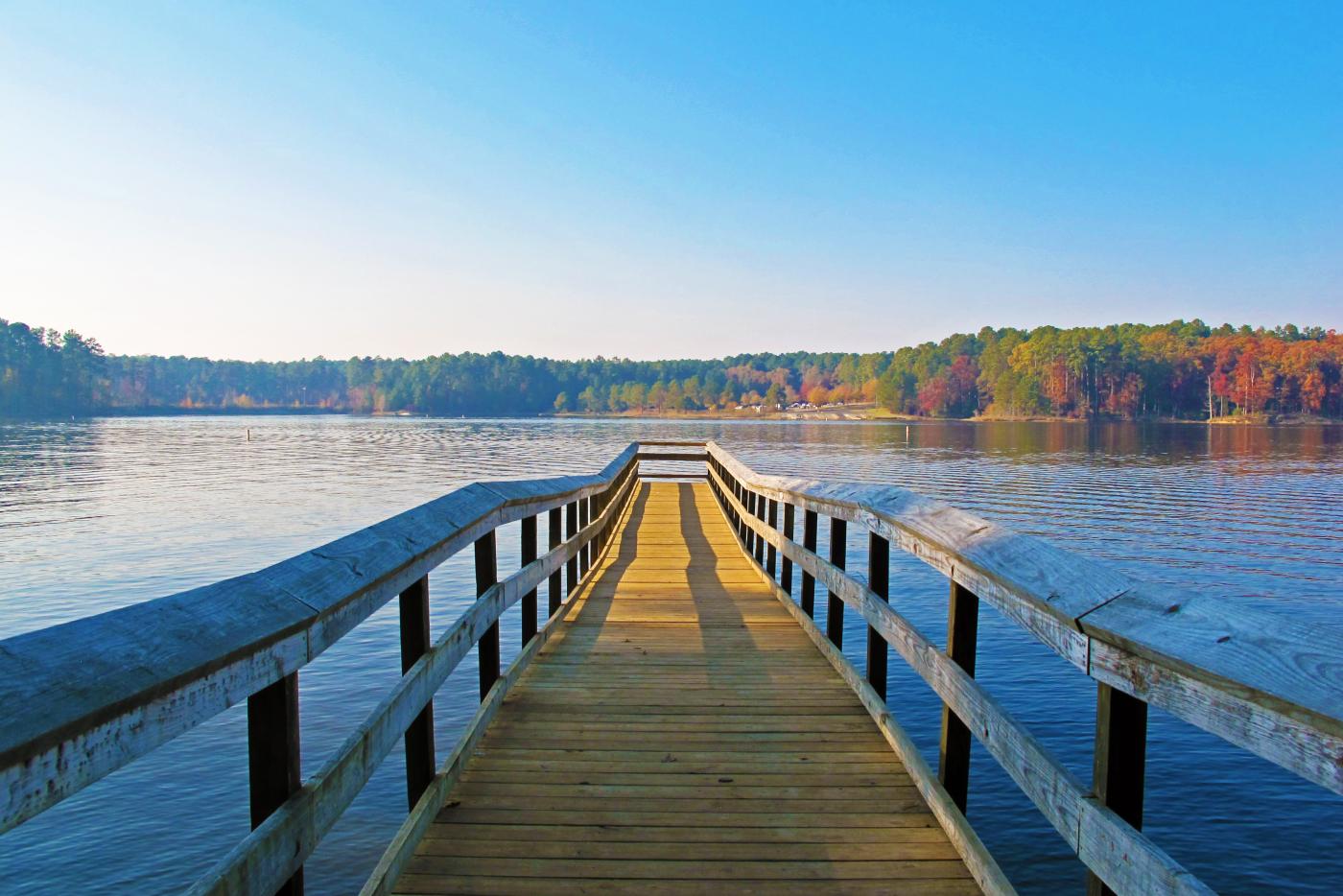 Wooden pier overlooking the lake at Rockport community in Wake Forest, NC, surrounded by scenic forest views.