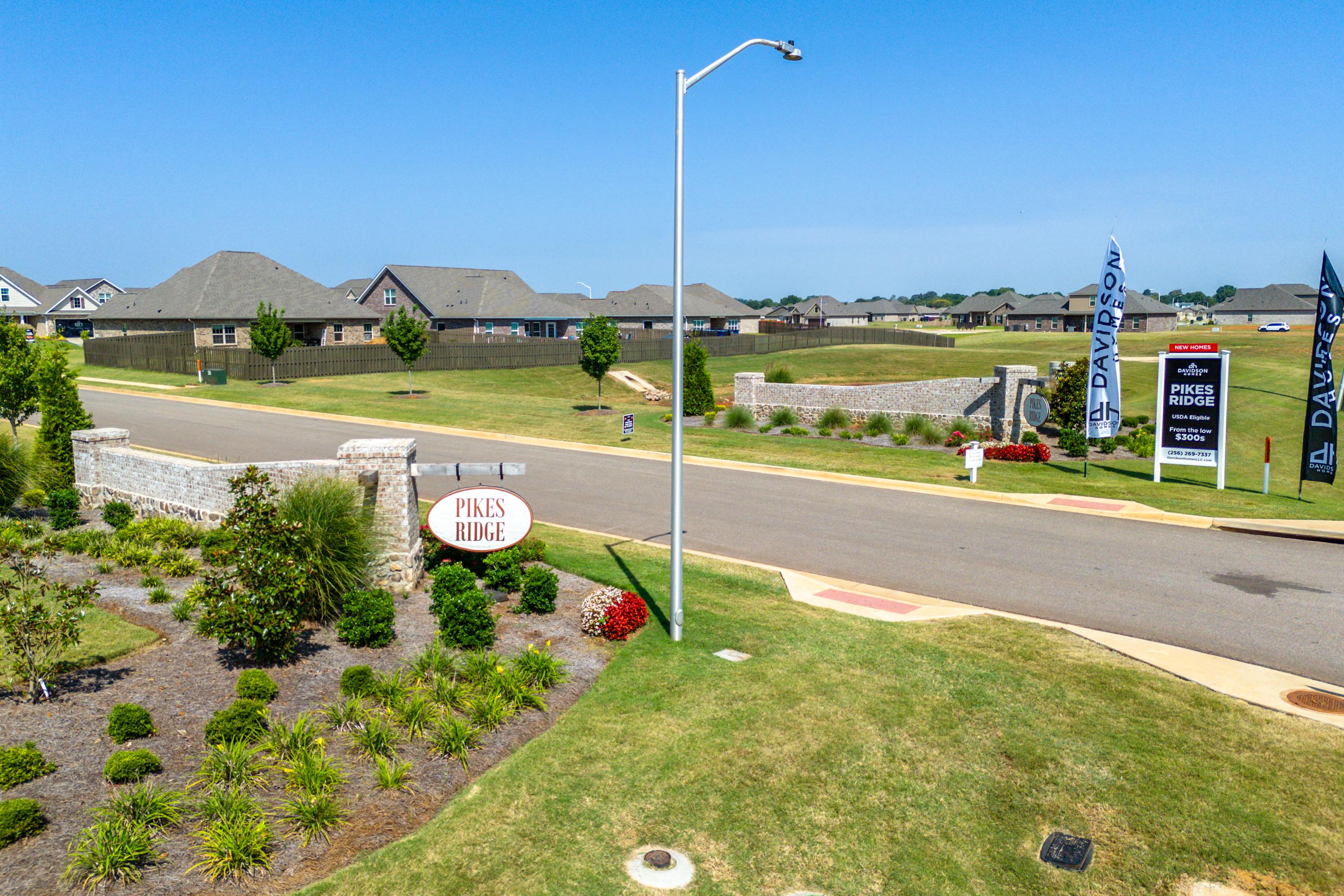 Pikes Ridge entrance in Meridianville Alabama with stone pillars sign, landscaped greenery, flags and new Davidson Homes