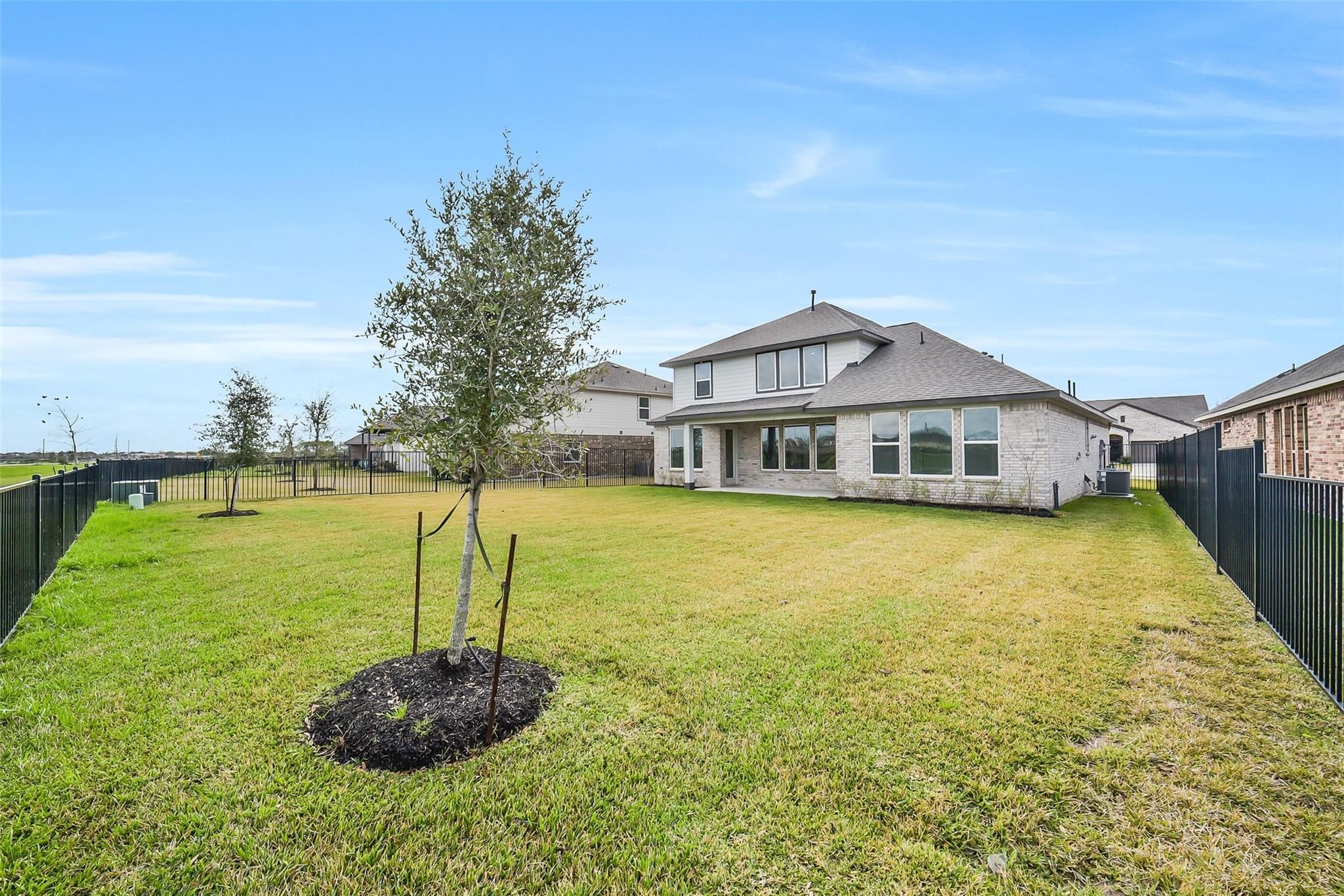 Expansive grassy backyard with young tree and black metal fence beside two-story Philip B home in Sierra Vista, Rosharon, Texas