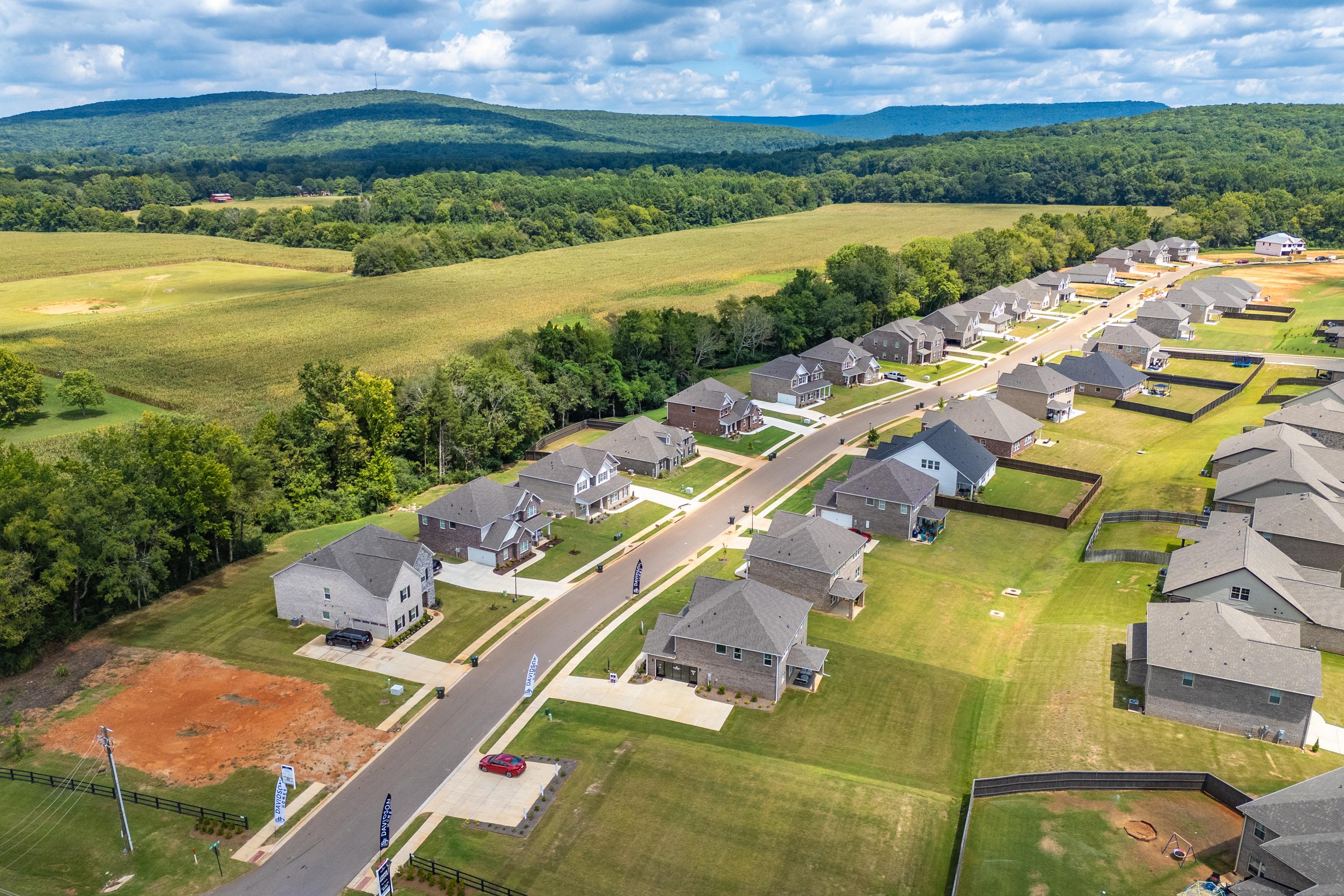 Aerial view of modern homes in Creek Grove, New Market Alabama, surrounded by green fields and wooded hills