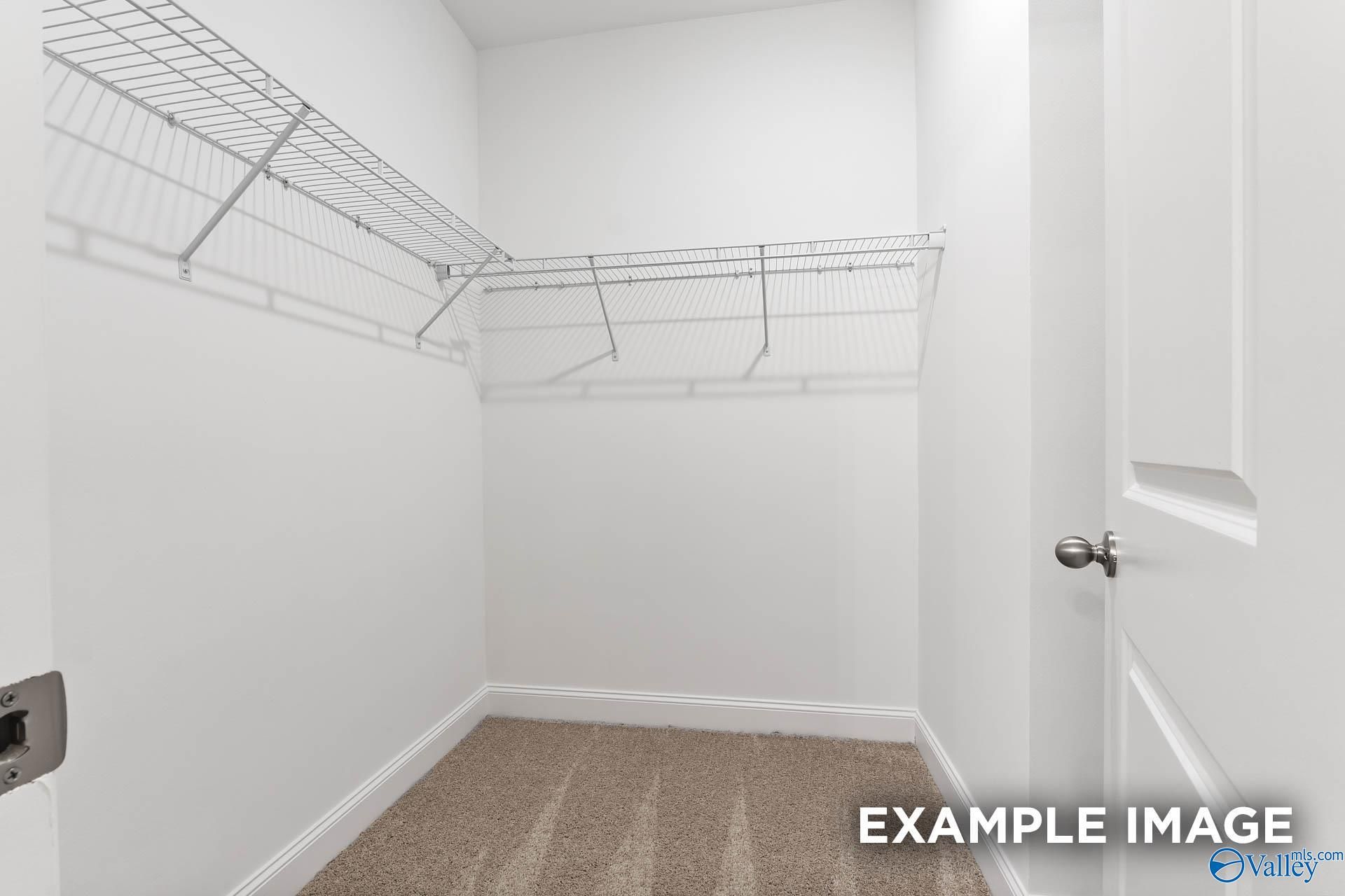Spacious walk-in closet with wire shelving, white walls, and carpeted floor in Davidson Homes The Asheville V, Athens, Alabama