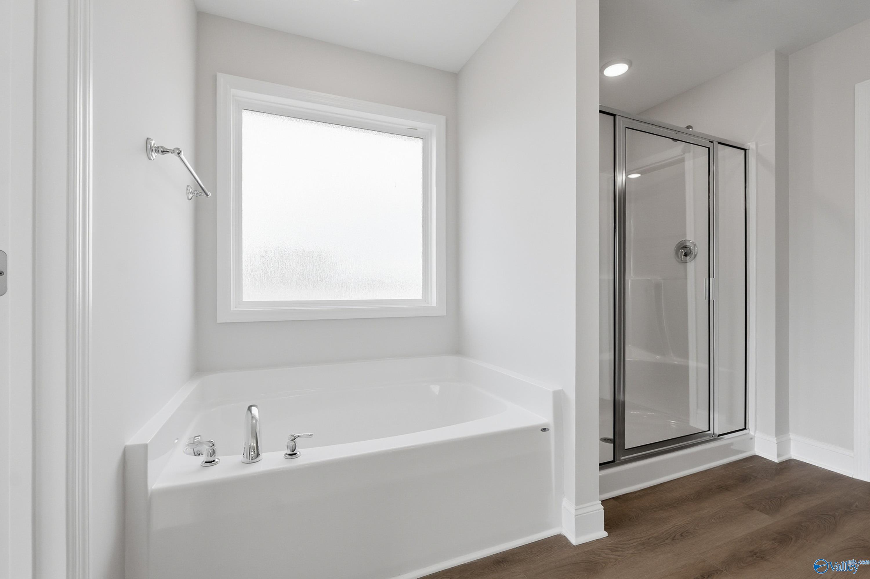 Image 21 of Davidson Homes' New Home at 16770 Demi Drive