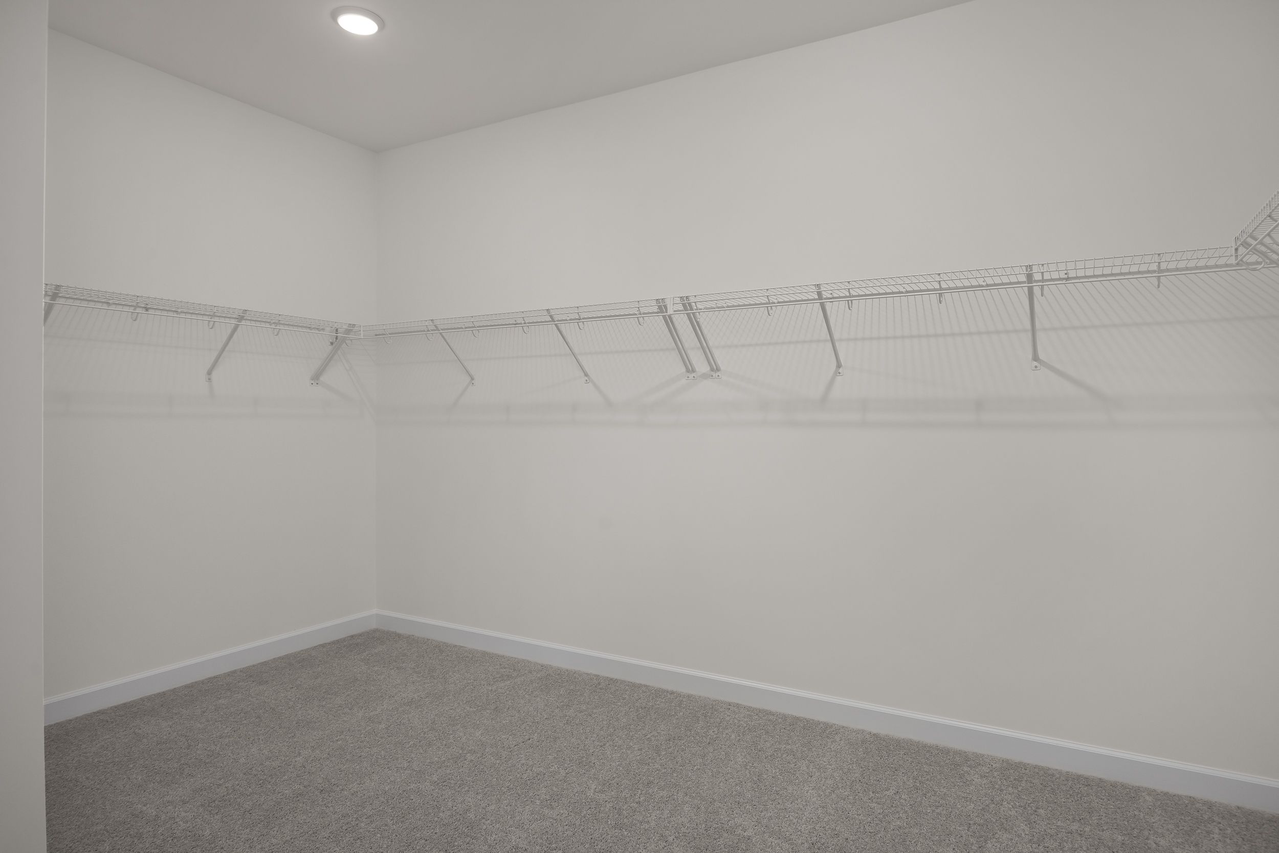 Spacious walk-in closet in The Beech A master suite featuring wire shelving, white walls, and gray carpet