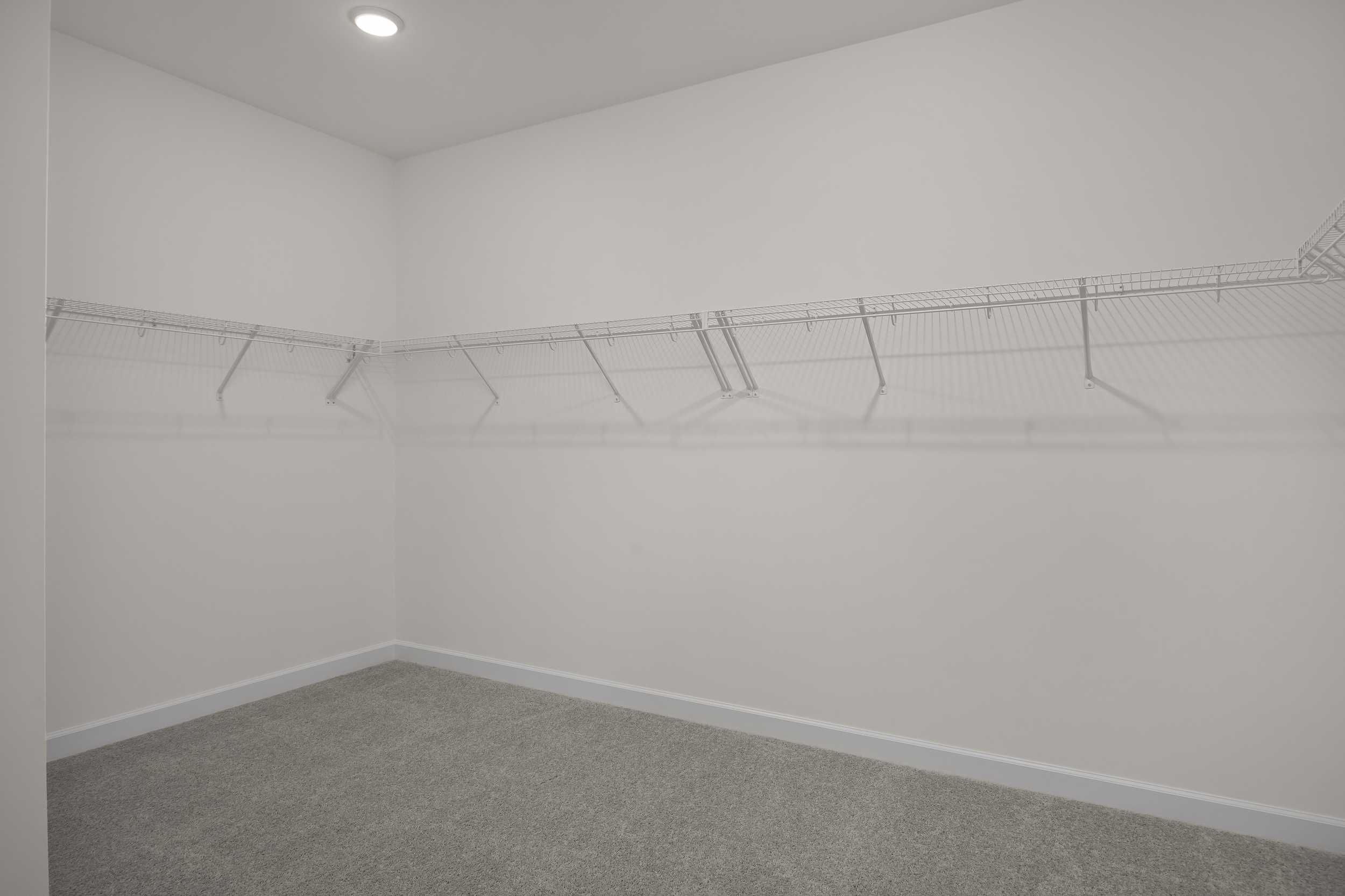 Spacious walk-in closet in The Beech C master suite with white walls, wire shelving, gray carpet, ceiling light