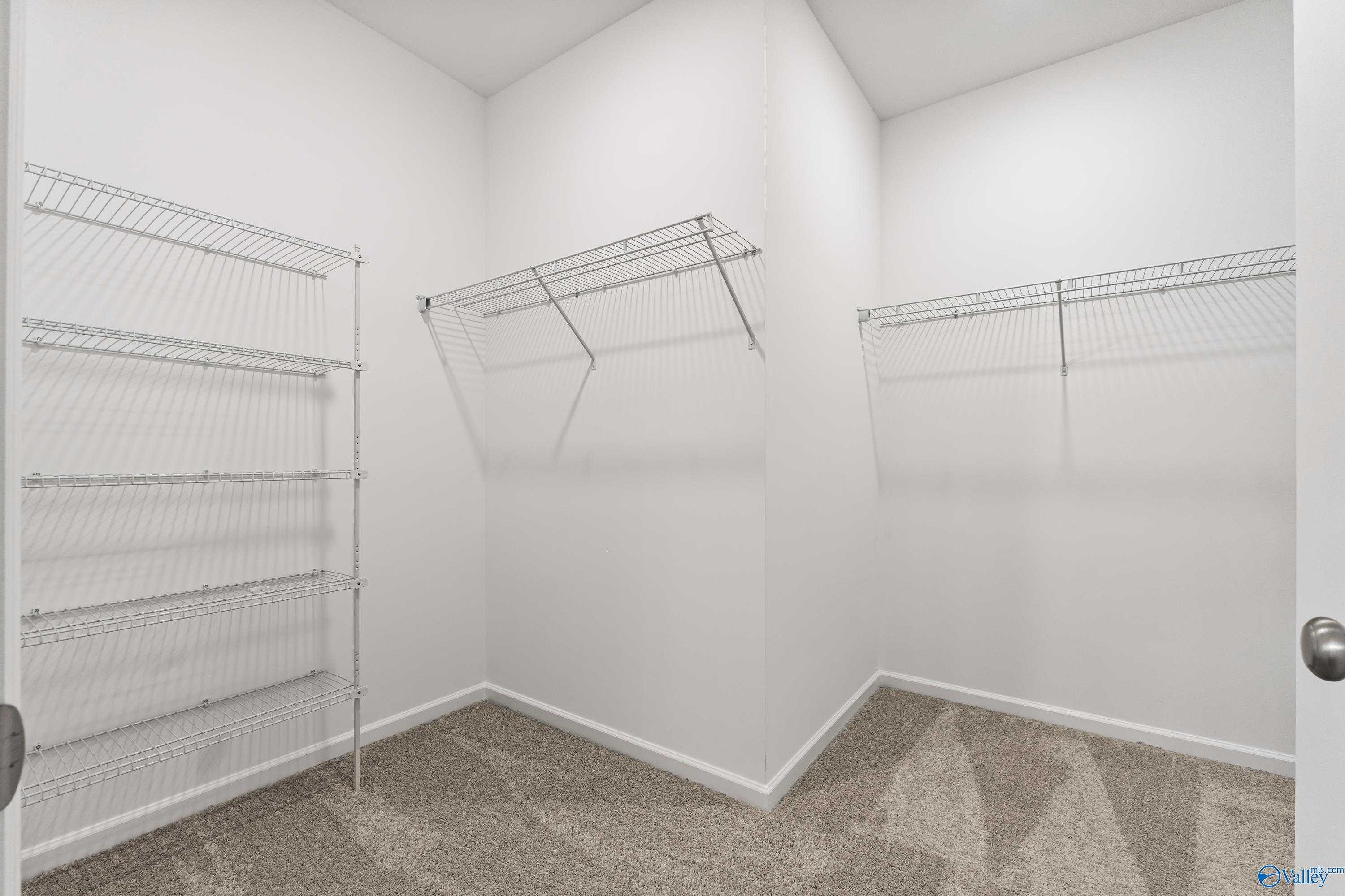Spacious walk-in closet with white wire shelving and carpeted floor in Davidson Homes The Phoenix, Fayetteville Tennessee