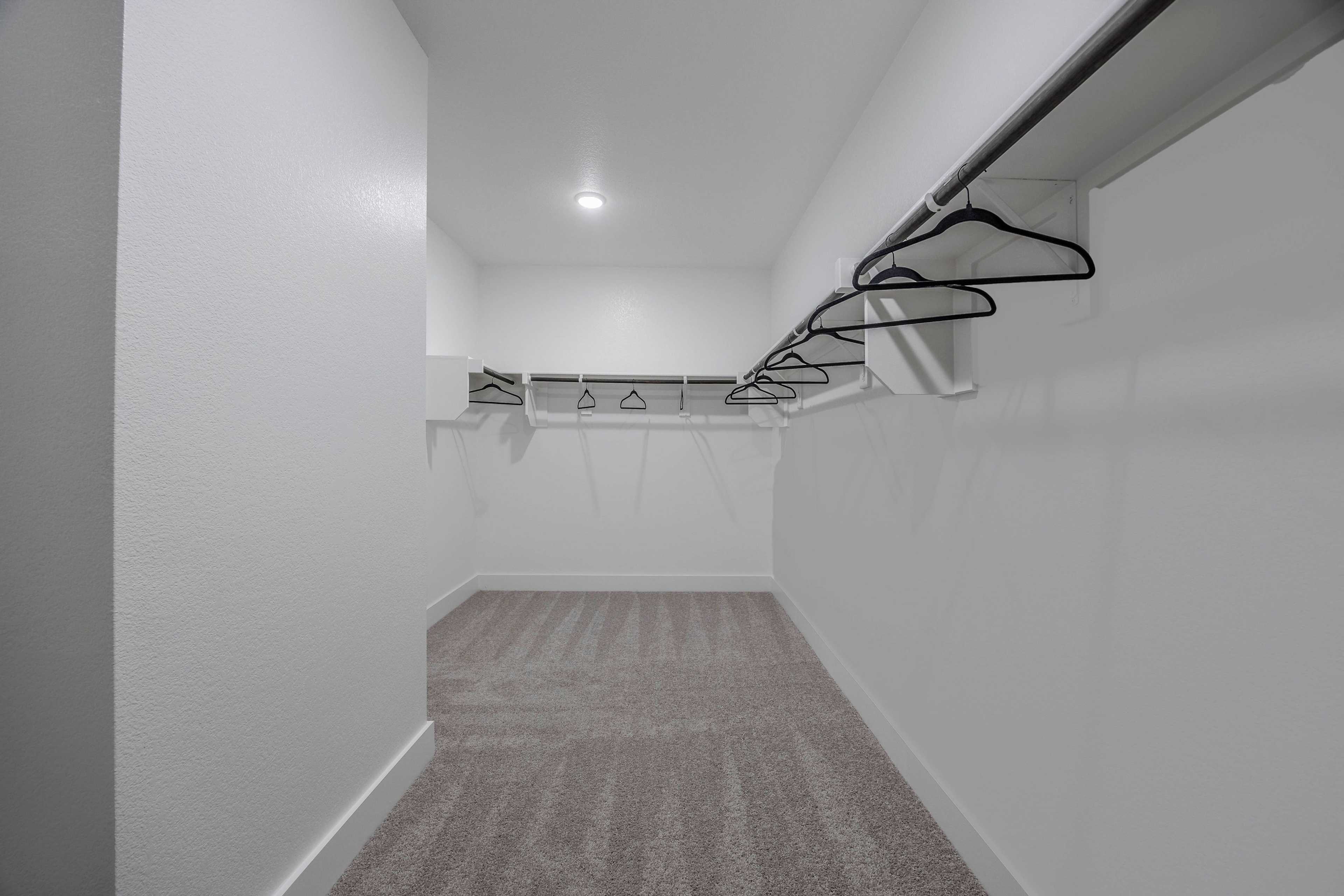 Spacious walk-in closet in The Rockford master suite with white walls, hanging rods, built-in shelves, and neutral carpet flooring