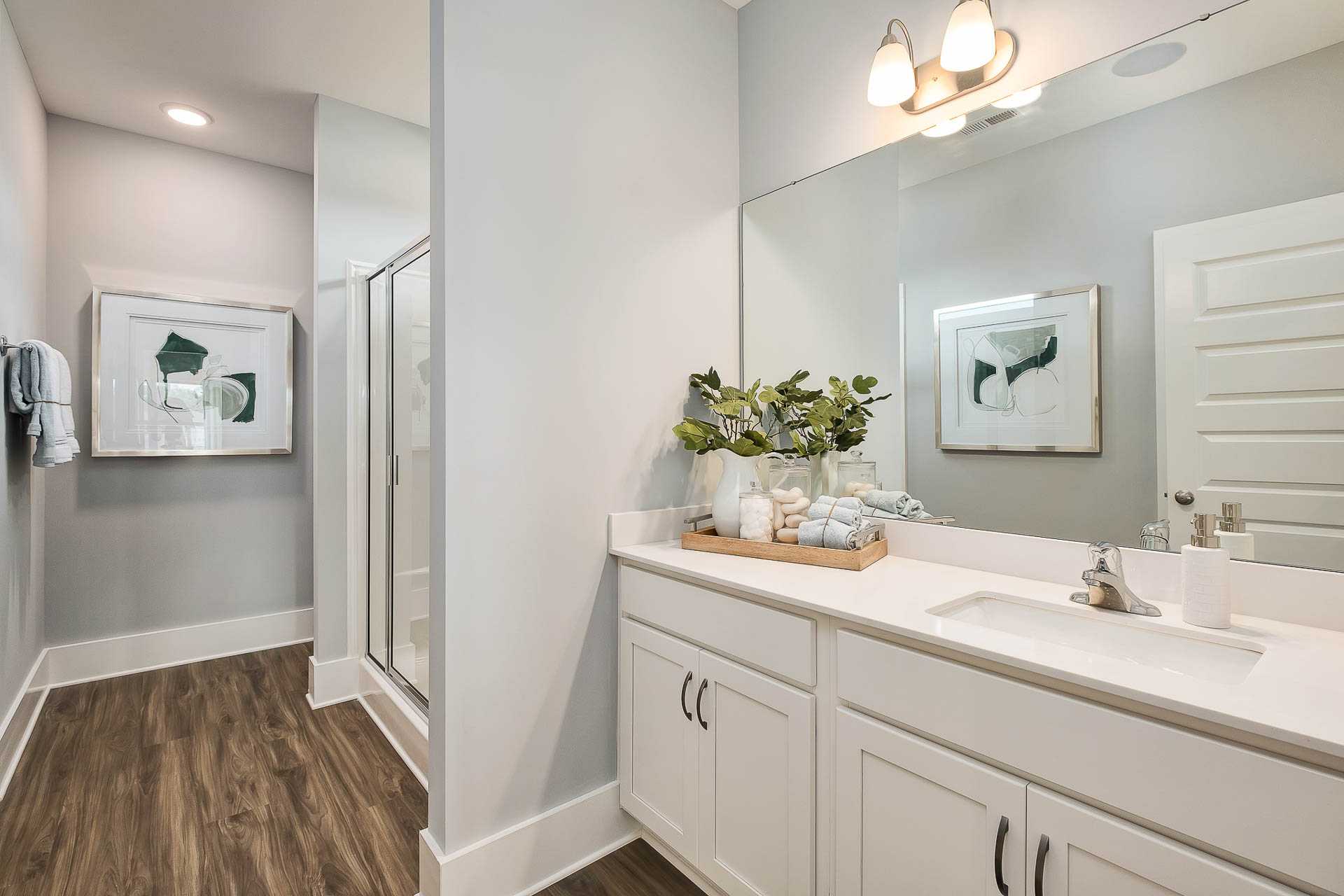 Master Bath of Davidson Homes' The Daphne Floor Plan