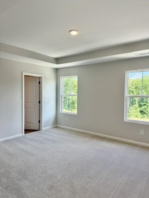 Image 6 of Davidson Homes' New Home at 232 Black Walnut Way