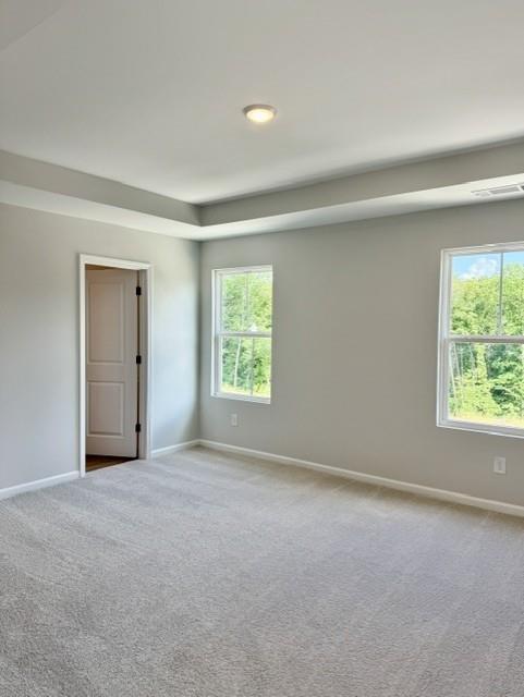 Image 7 of Davidson Homes' New Home at 224 Black Walnut Way