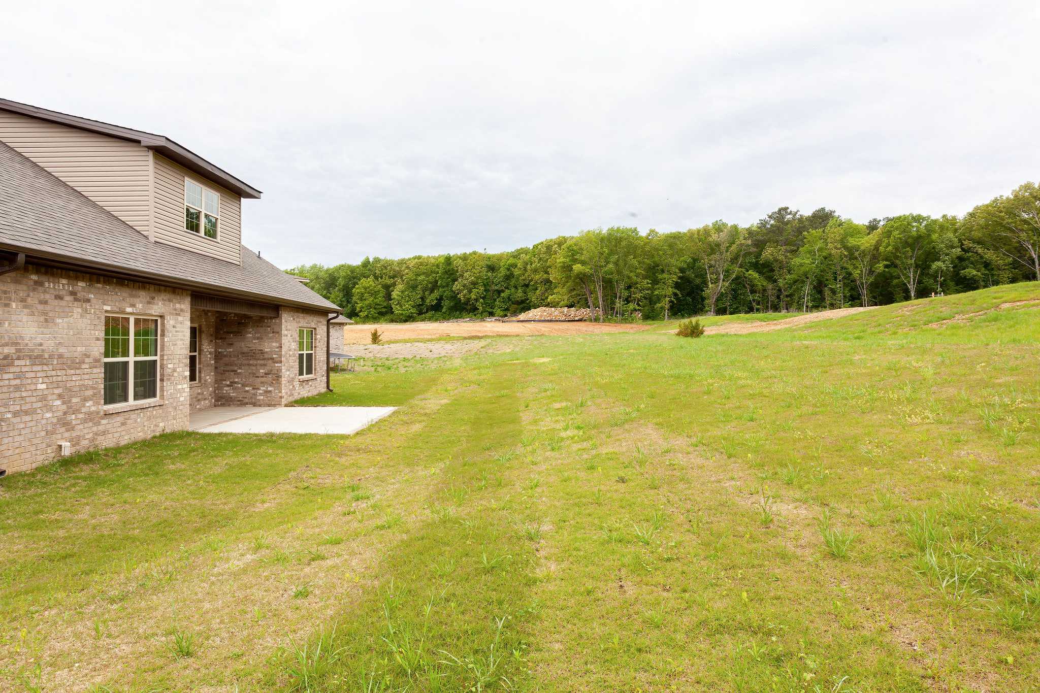 Davidson Homes The Emory Floor Plan Exterior back yard