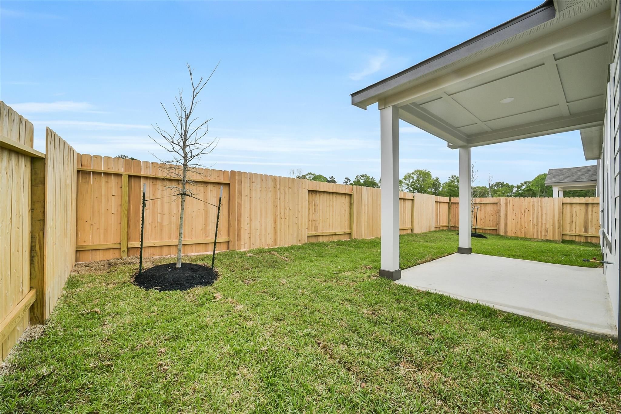 Covered back patio and fenced grassy backyard with young tree in Davidson Homes The Frio F, Conroe, Texas