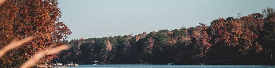 McDonough Skyline