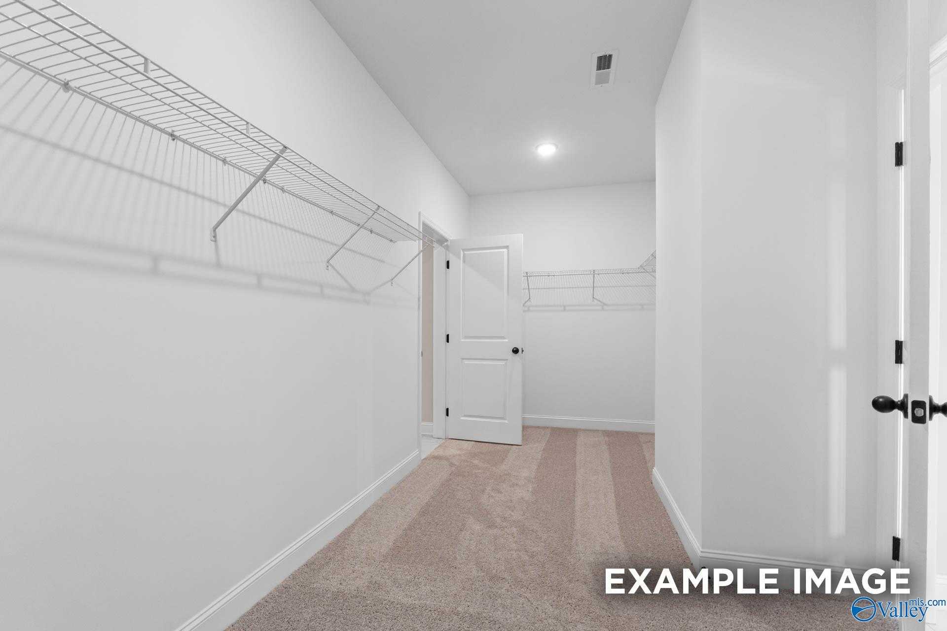 Spacious walk-in closet with wire shelving, carpeted floor, and open door in Davidson Homes The Rockford, Decatur, Alabama